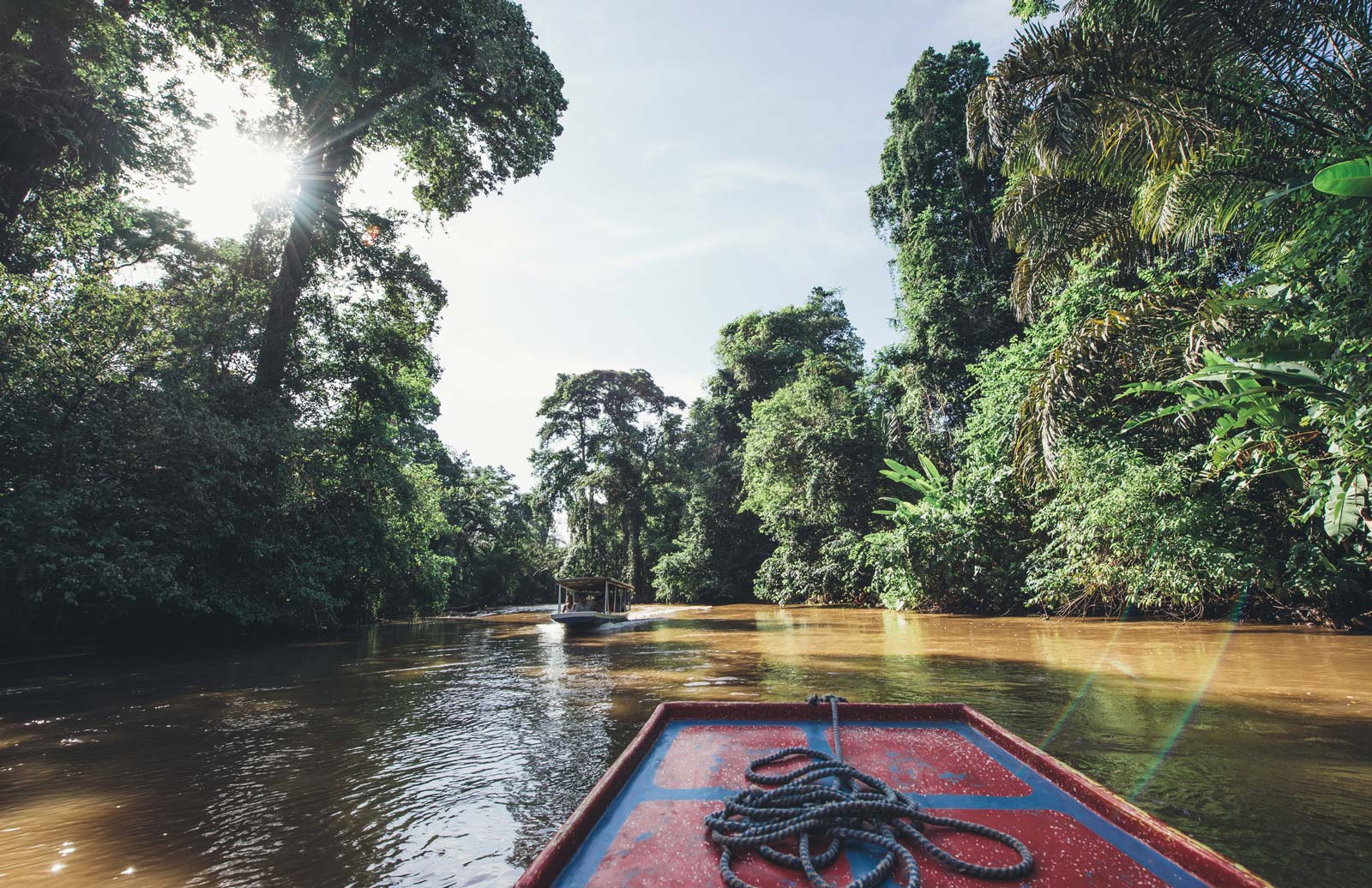 comment rejoindre tortuguero costa rica?