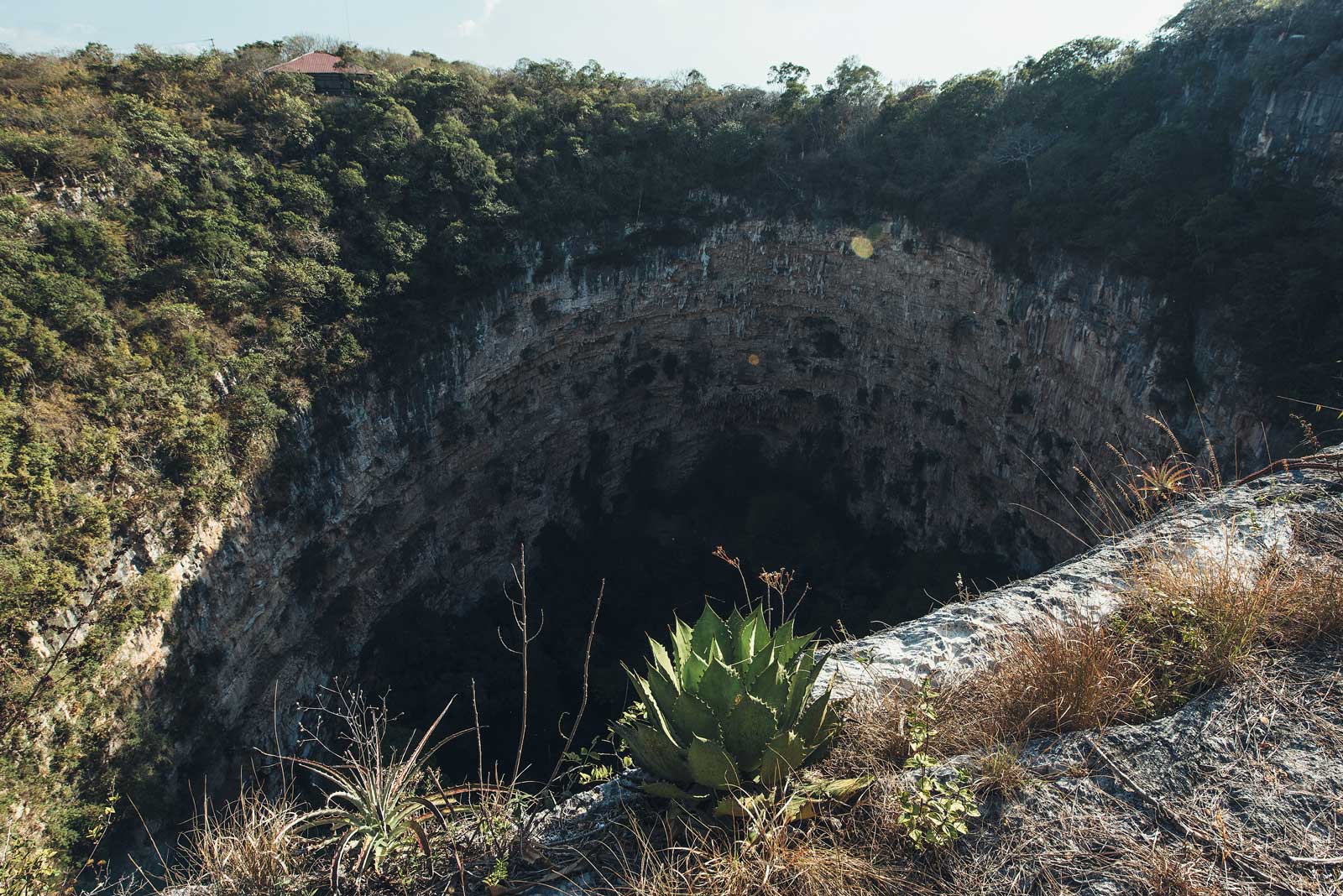 Trou dans la Terre: Sima de las Cotorras, Chiapas