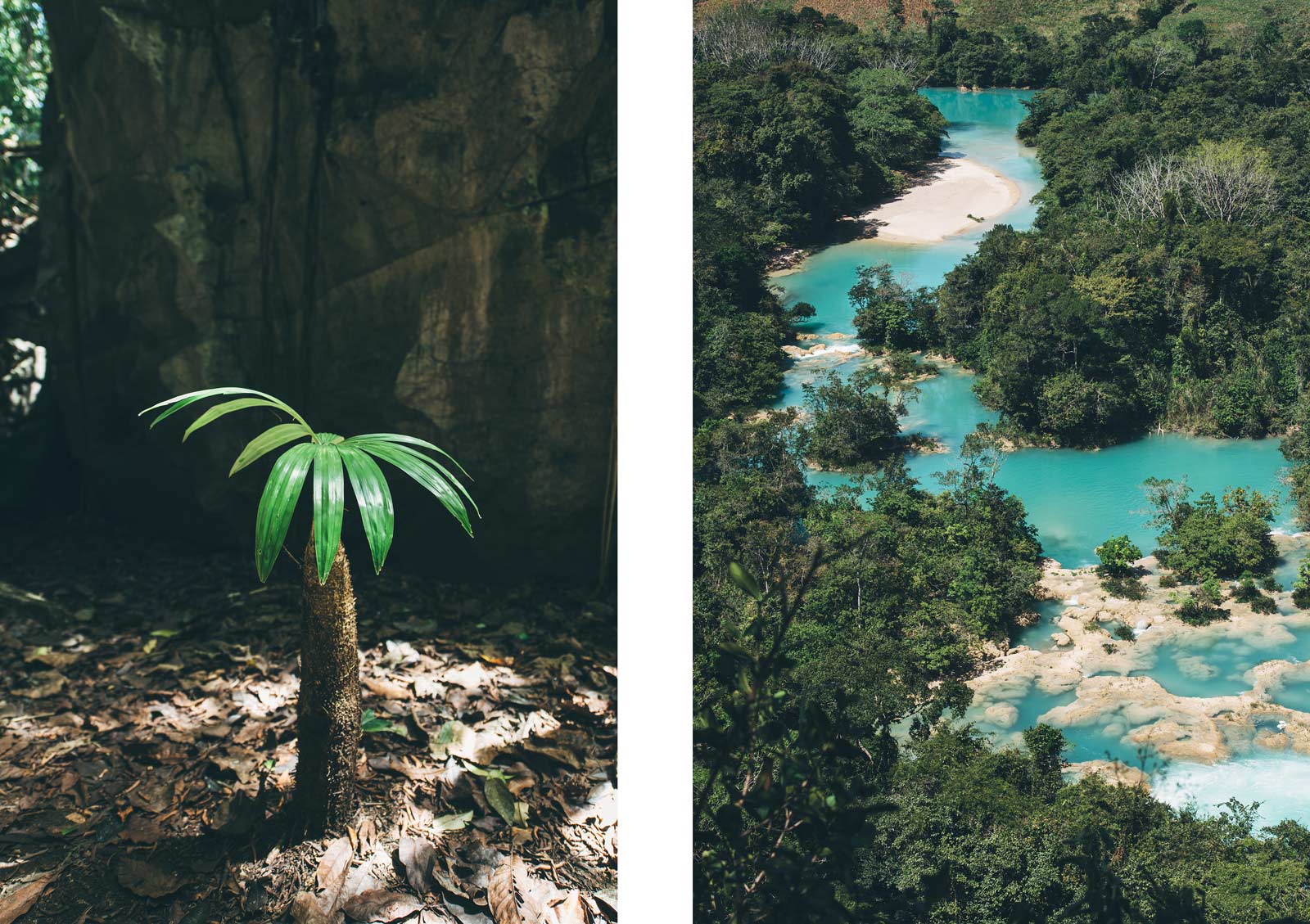 Las Nubes, Chiapas, Mexique