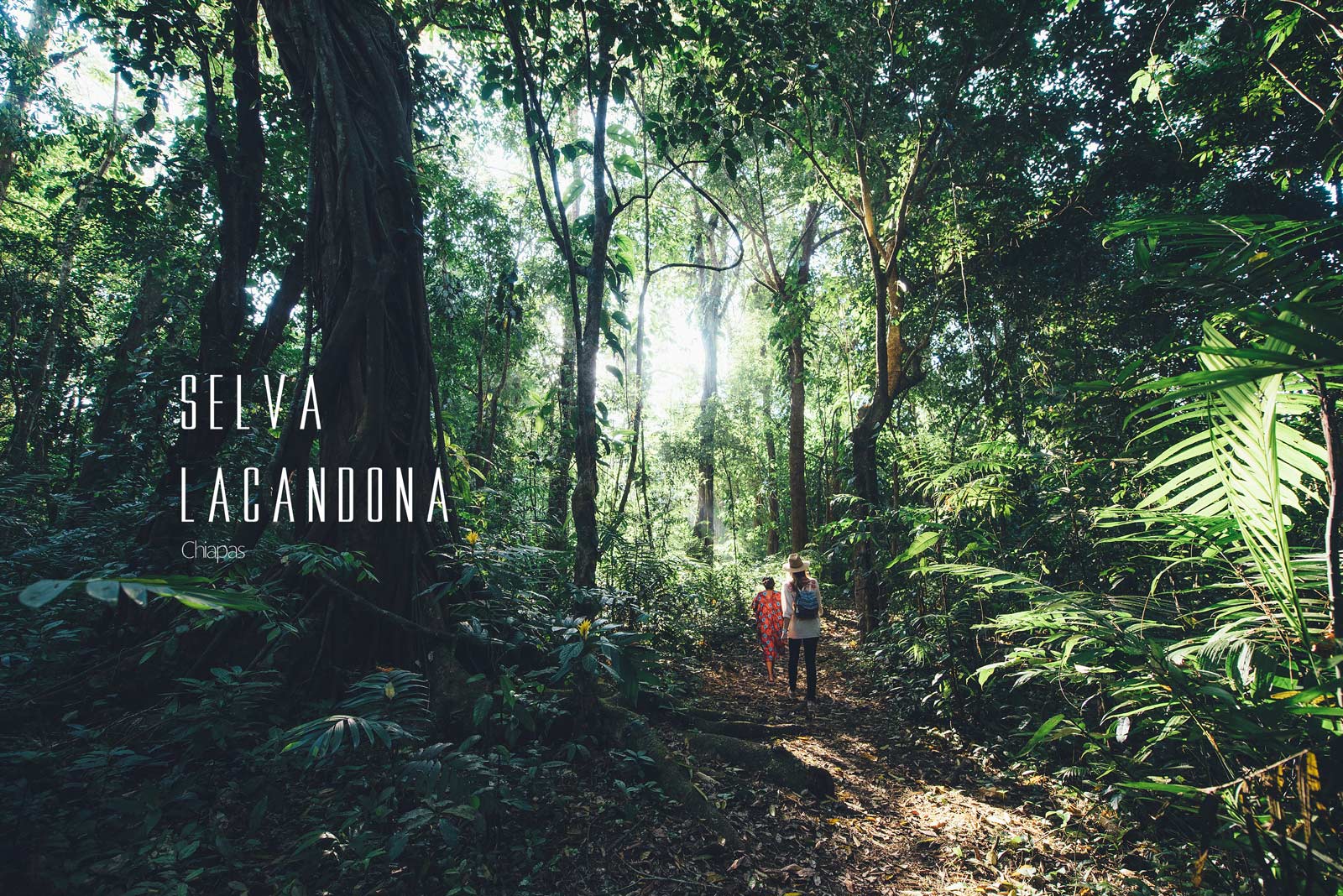 Foret Lacandona, Chiapas, Mexique