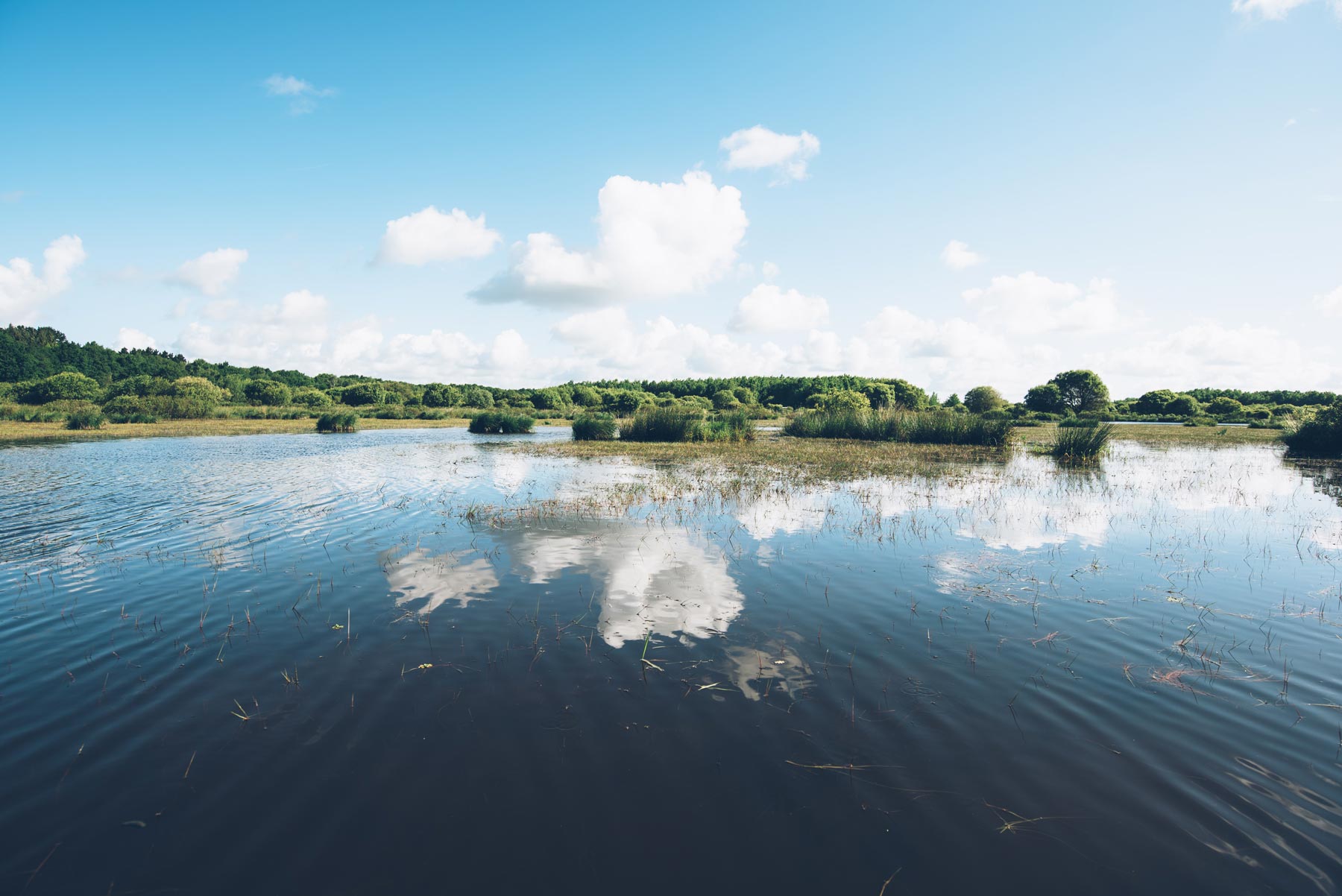 Parc Naturel Régional de la Brière