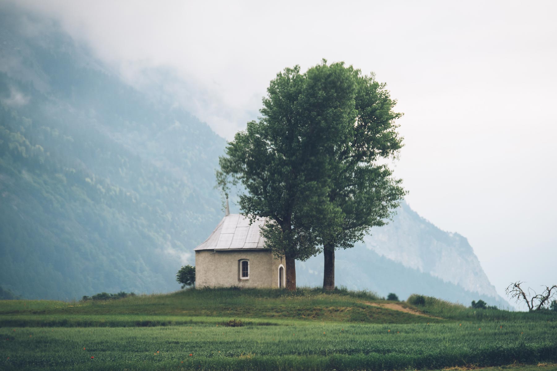 Campagne Suisse depuis le Bernina Express