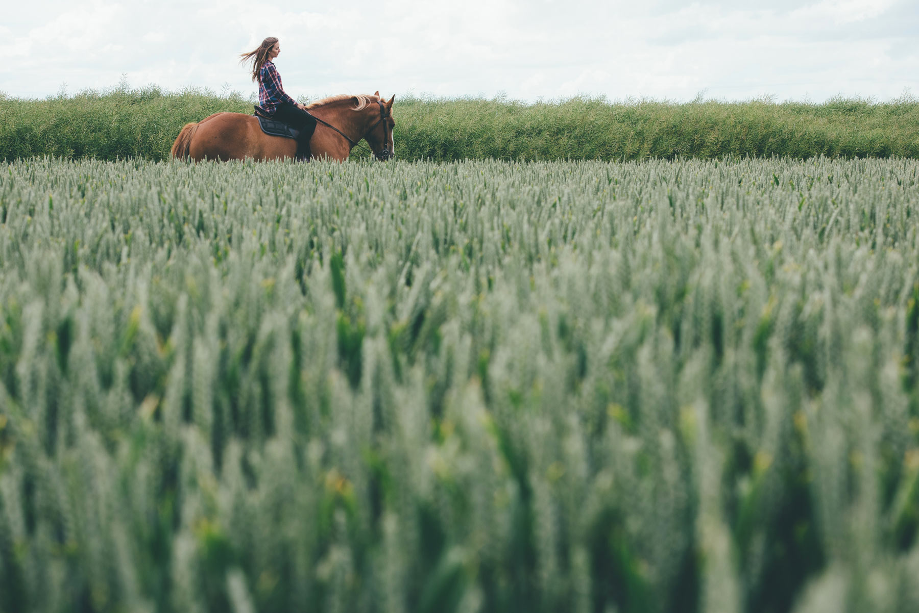 Faire du Cheval en Normandie à la ferme Beaulieu