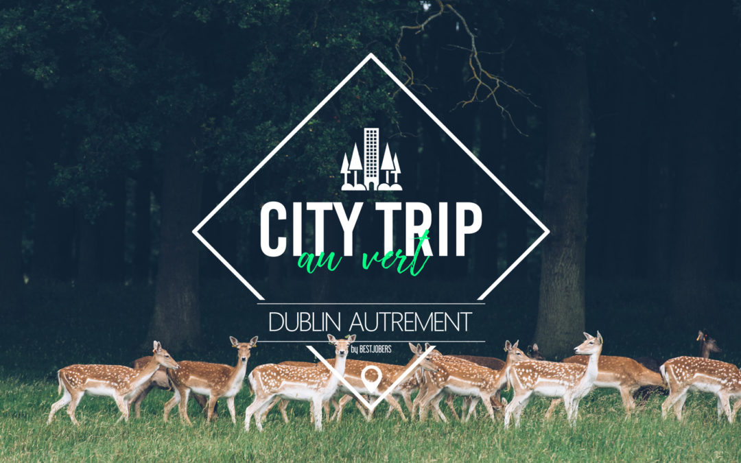 City Trip au Vert, Visiter Dublin autrement!