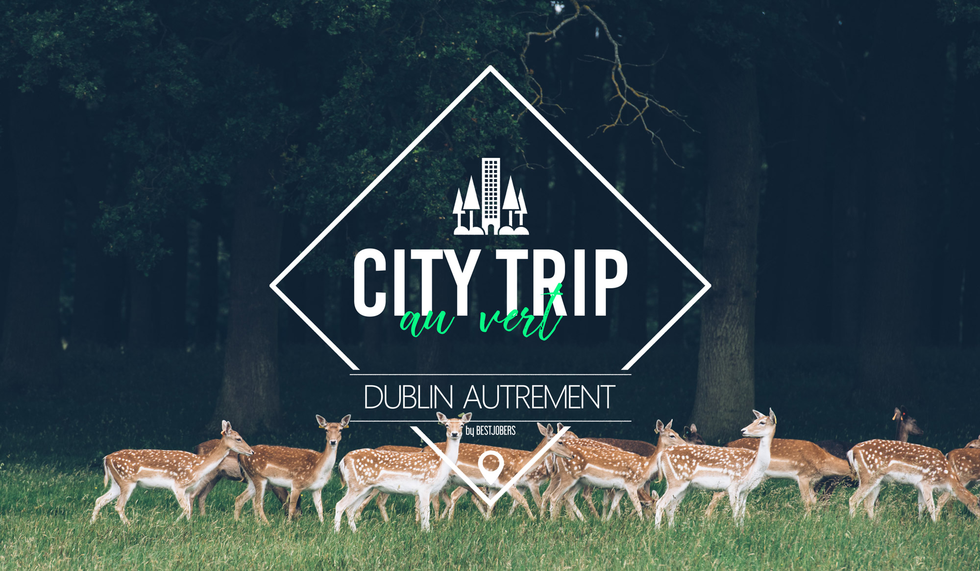 faire des rencontres à dublin