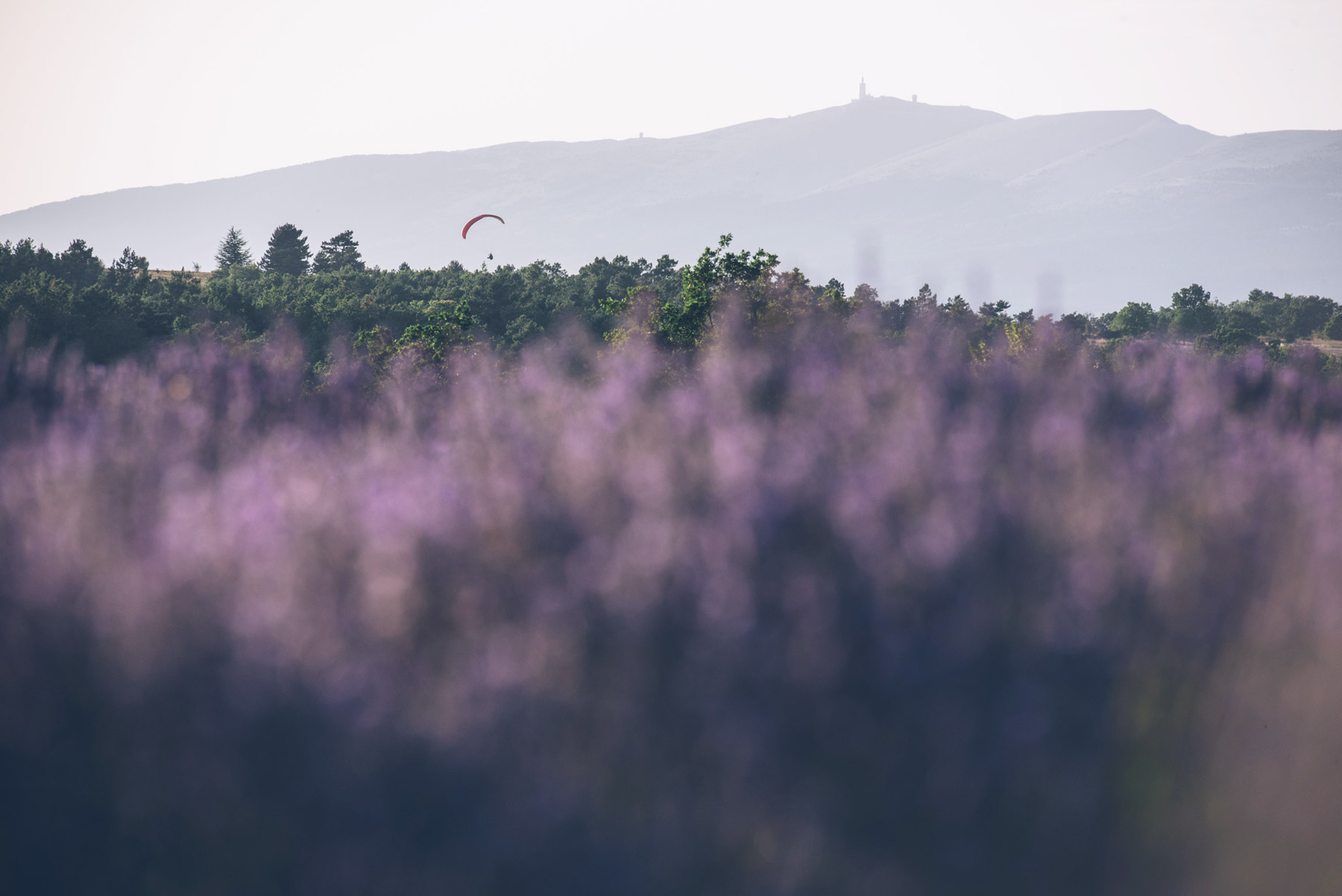 Ventoux Parapente