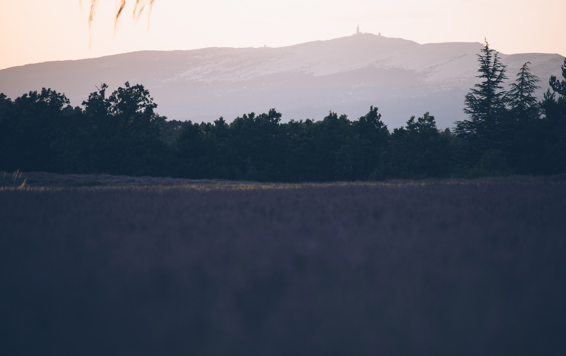 Mont Ventoux depuis St Jean de Sault