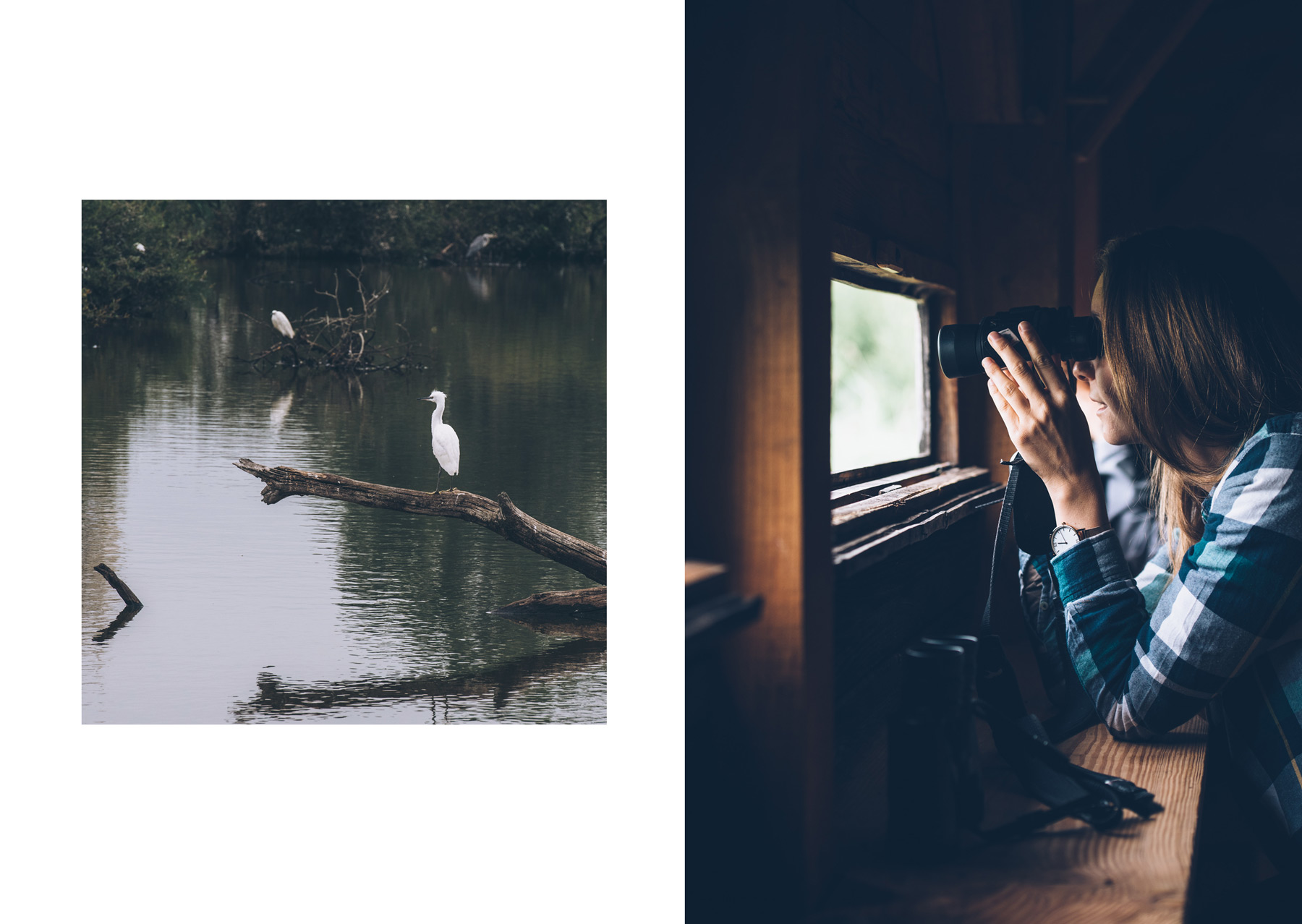 Observation d'oiseaux, Parc Naturel de la Brenne