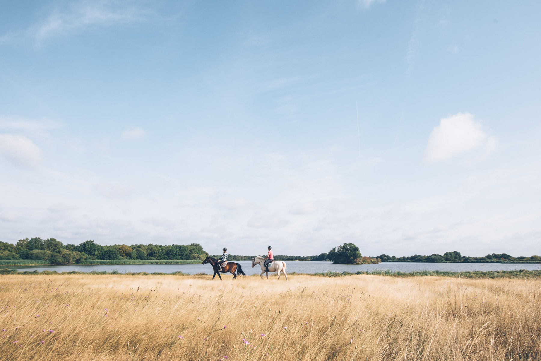 Sortie Cheval dans la Brenne, Berry