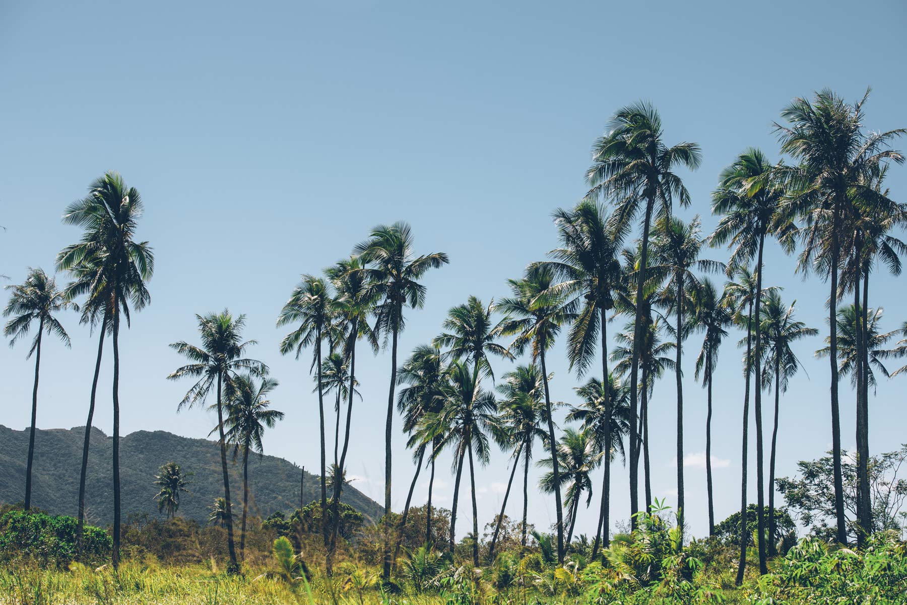 Nouvelle Caledonie