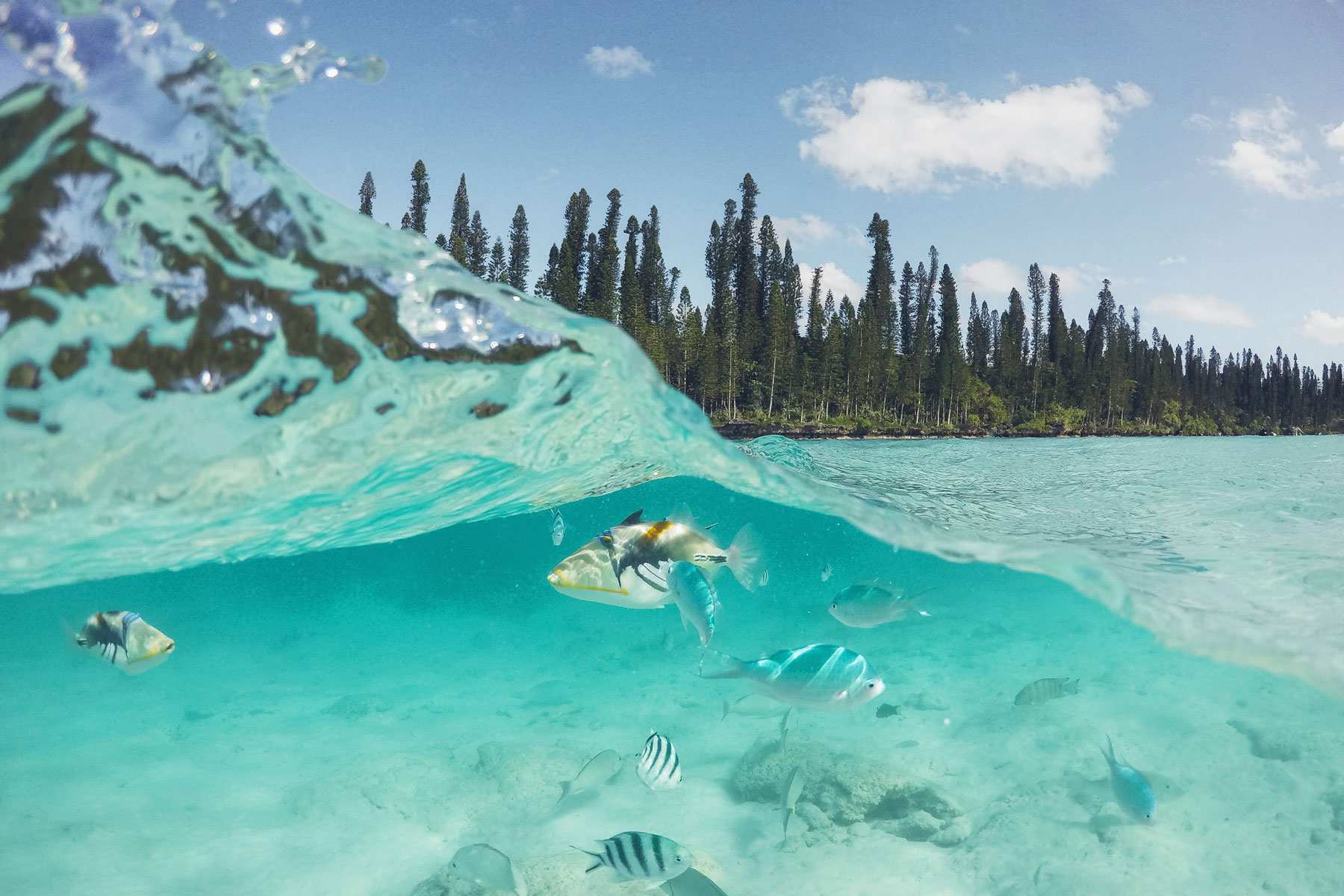 Piscine Naturelle, Ile des Pins