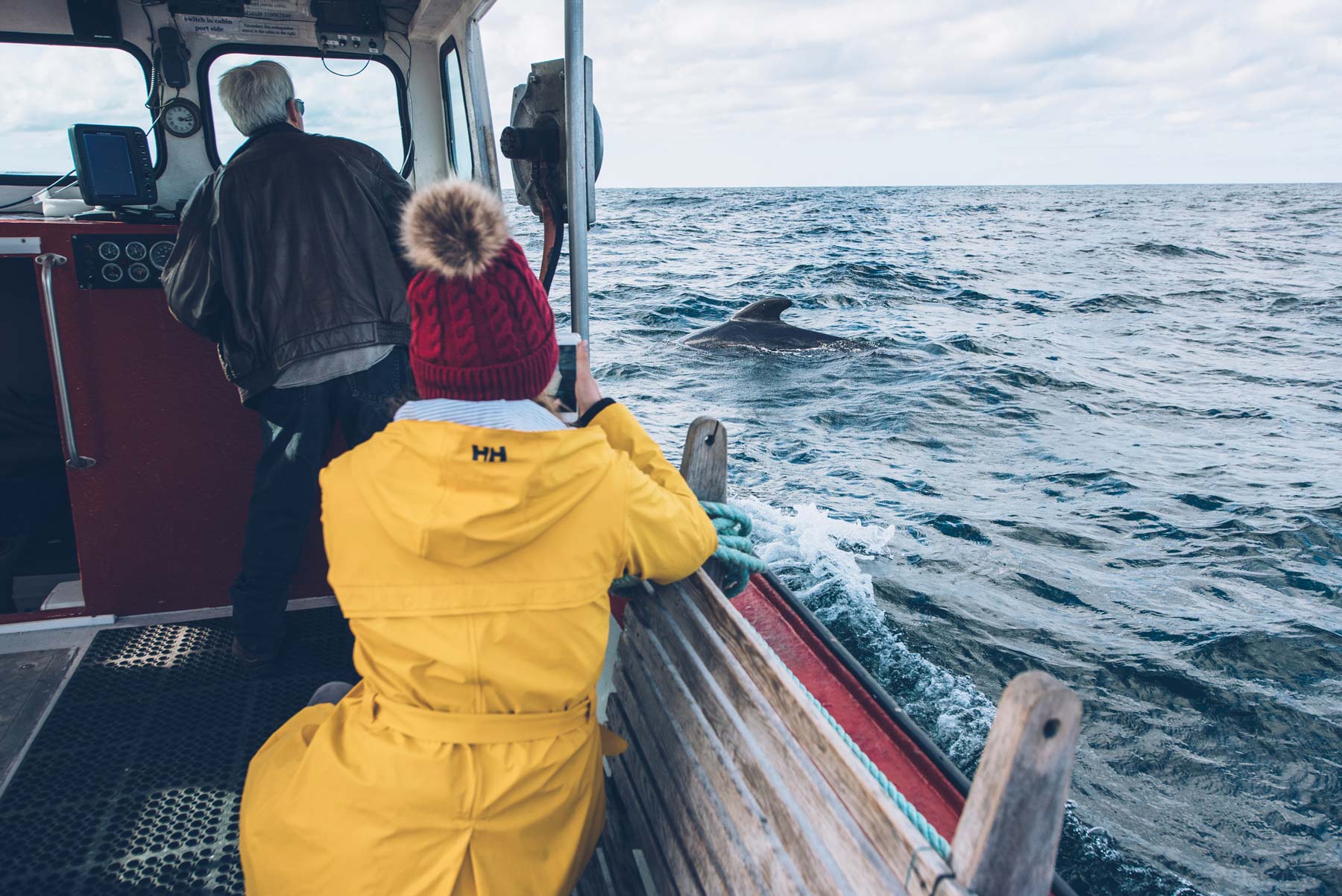 Sortie Baleine, Cap Breton