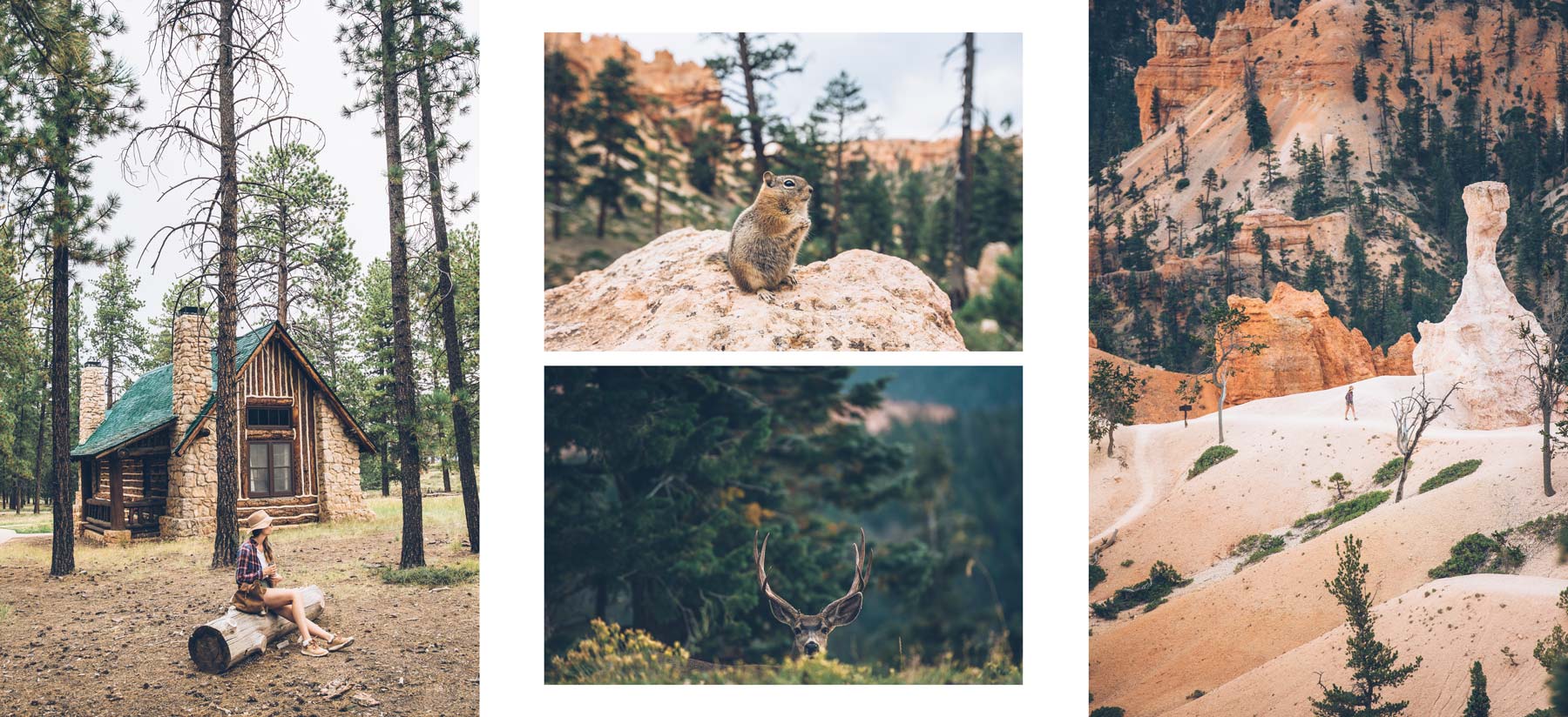 Bryce Canyon, Road Trip avec Authentik USA