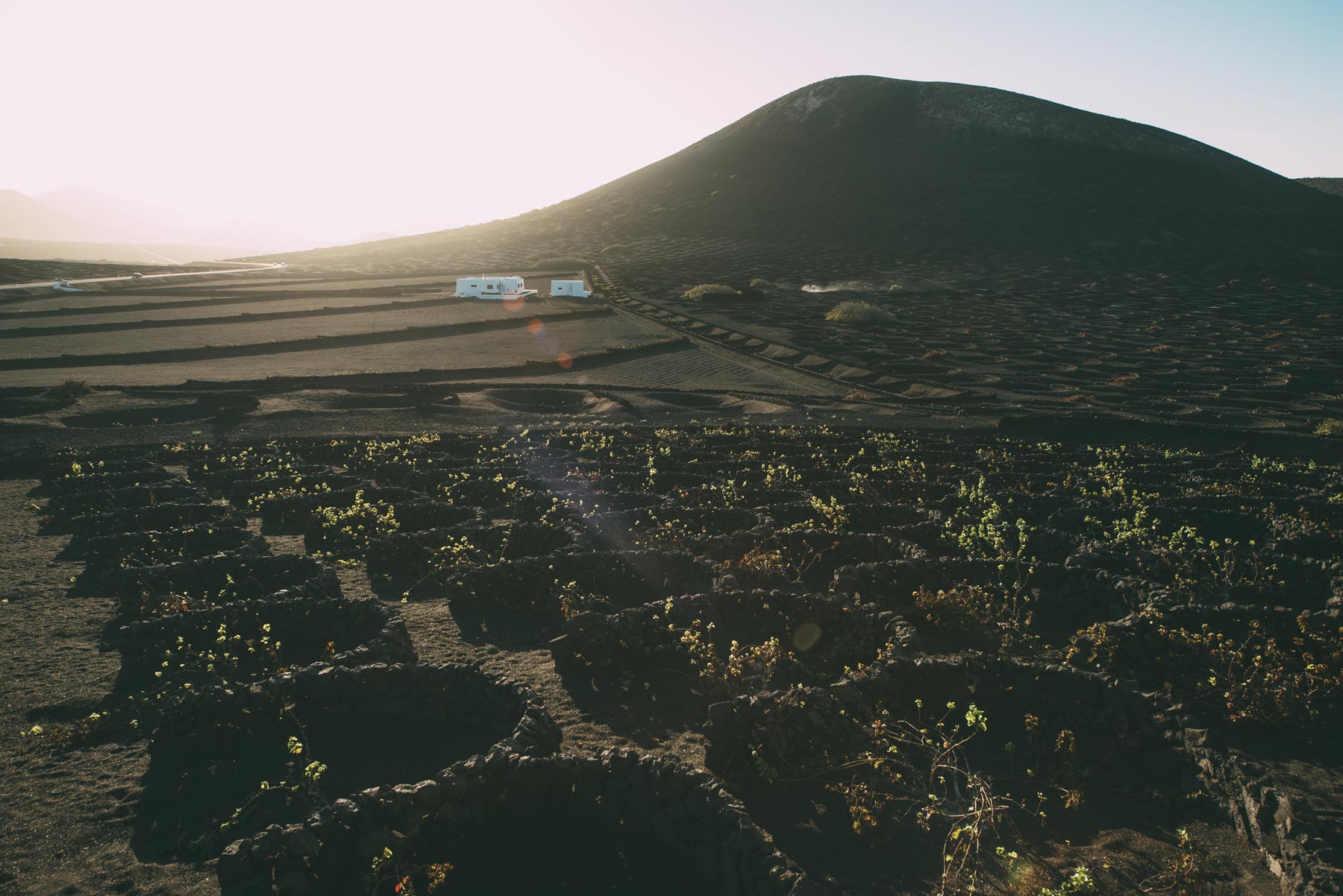 La Géria, Lanzarote