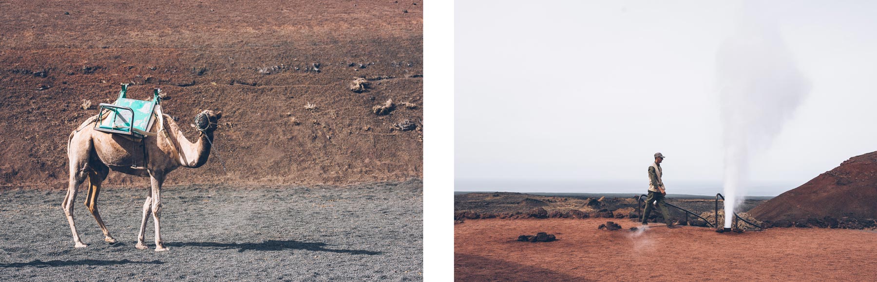 Chameau et Geyser, Timanfaya, Lanzarote