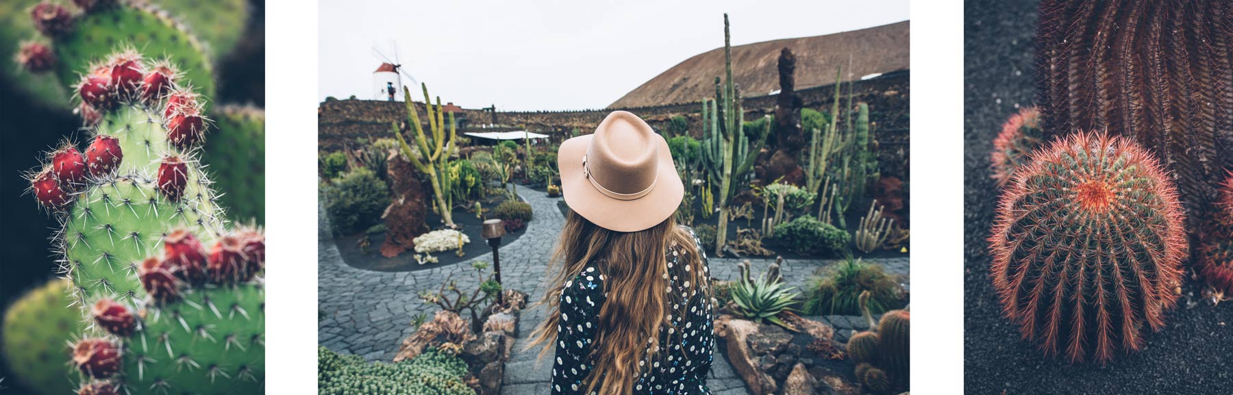 Jardin de Cactus, Lanzarote