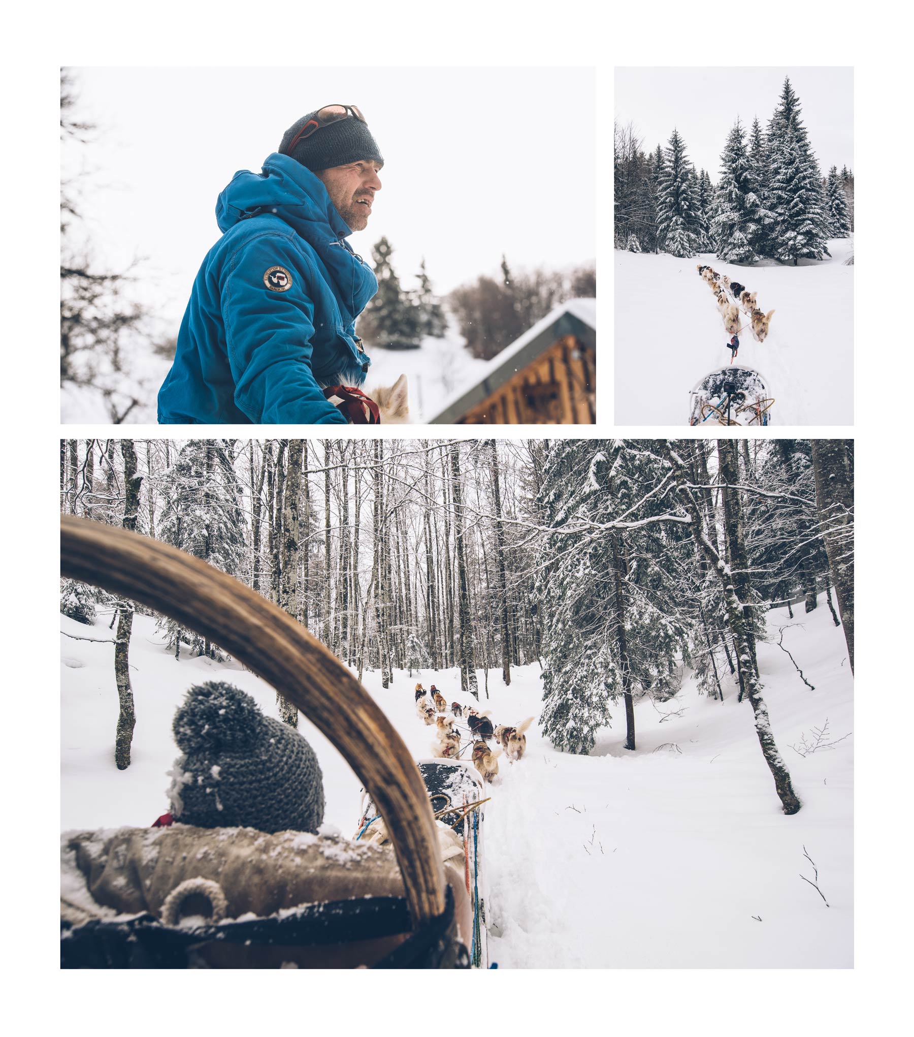 Chiens de traineau avec Gregory Monneret, Les Molunes