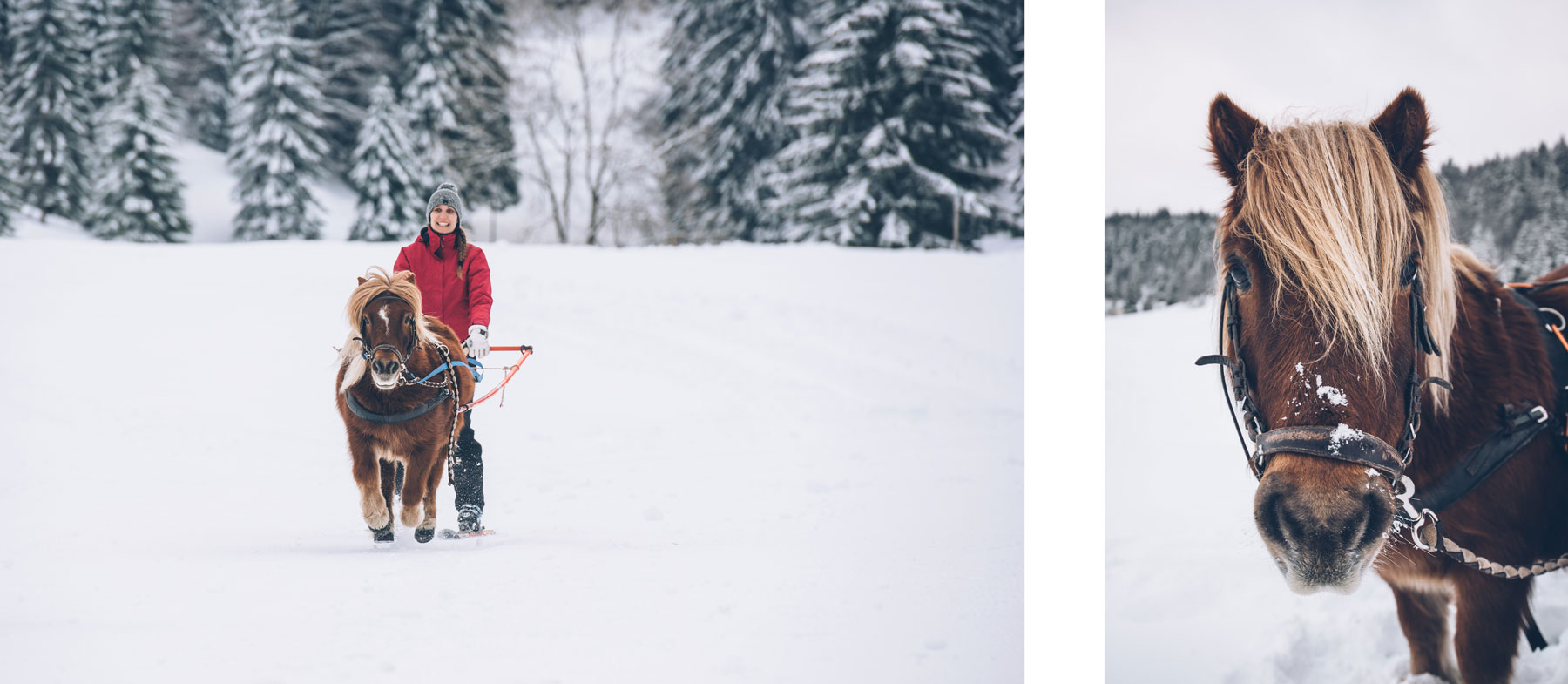 Montagnes du Jura, Ski Joering, Les Moussières