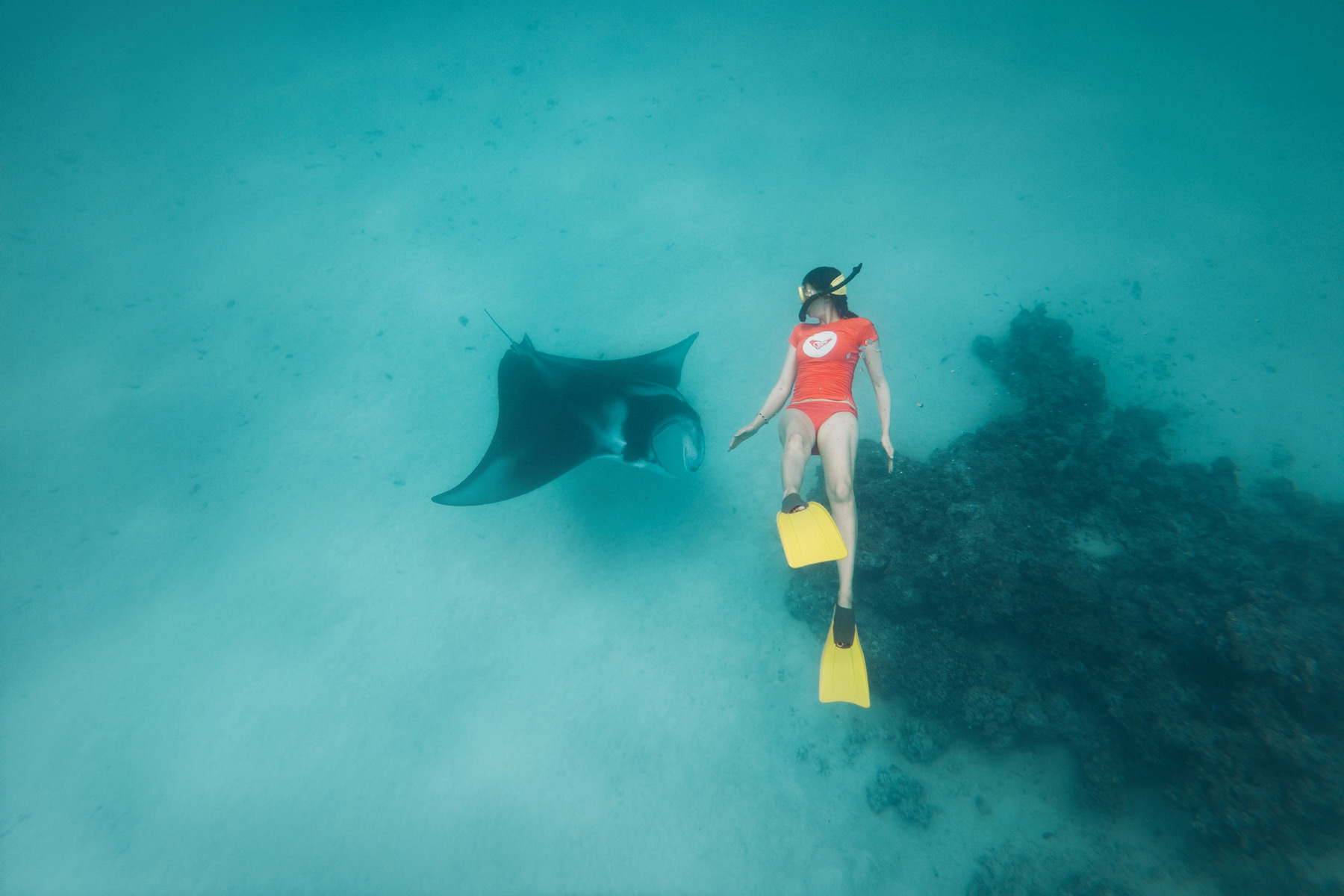 Raie Manta, Bora Bora, Polynésie Française