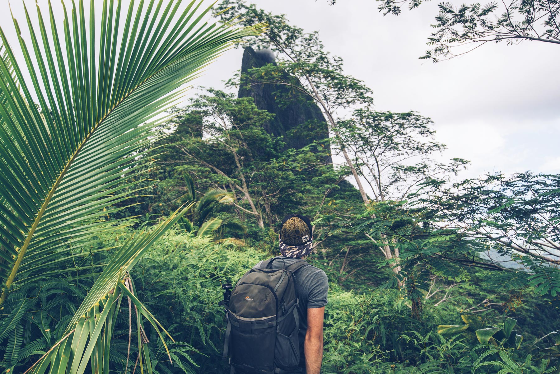 Rando du col des 3 cocotiers, Moorea, Polynésie Française