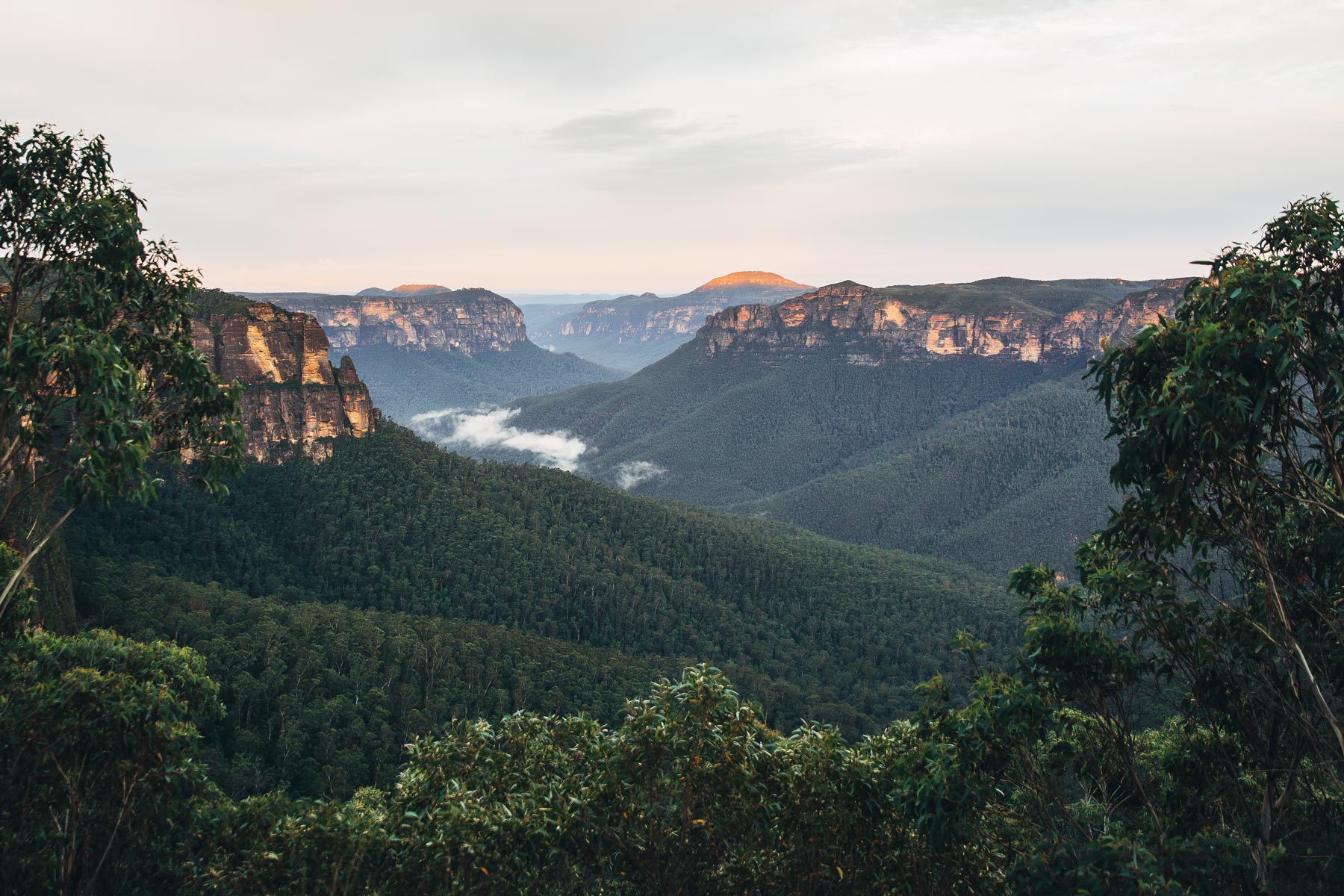 Blue Mountains près de Sydney