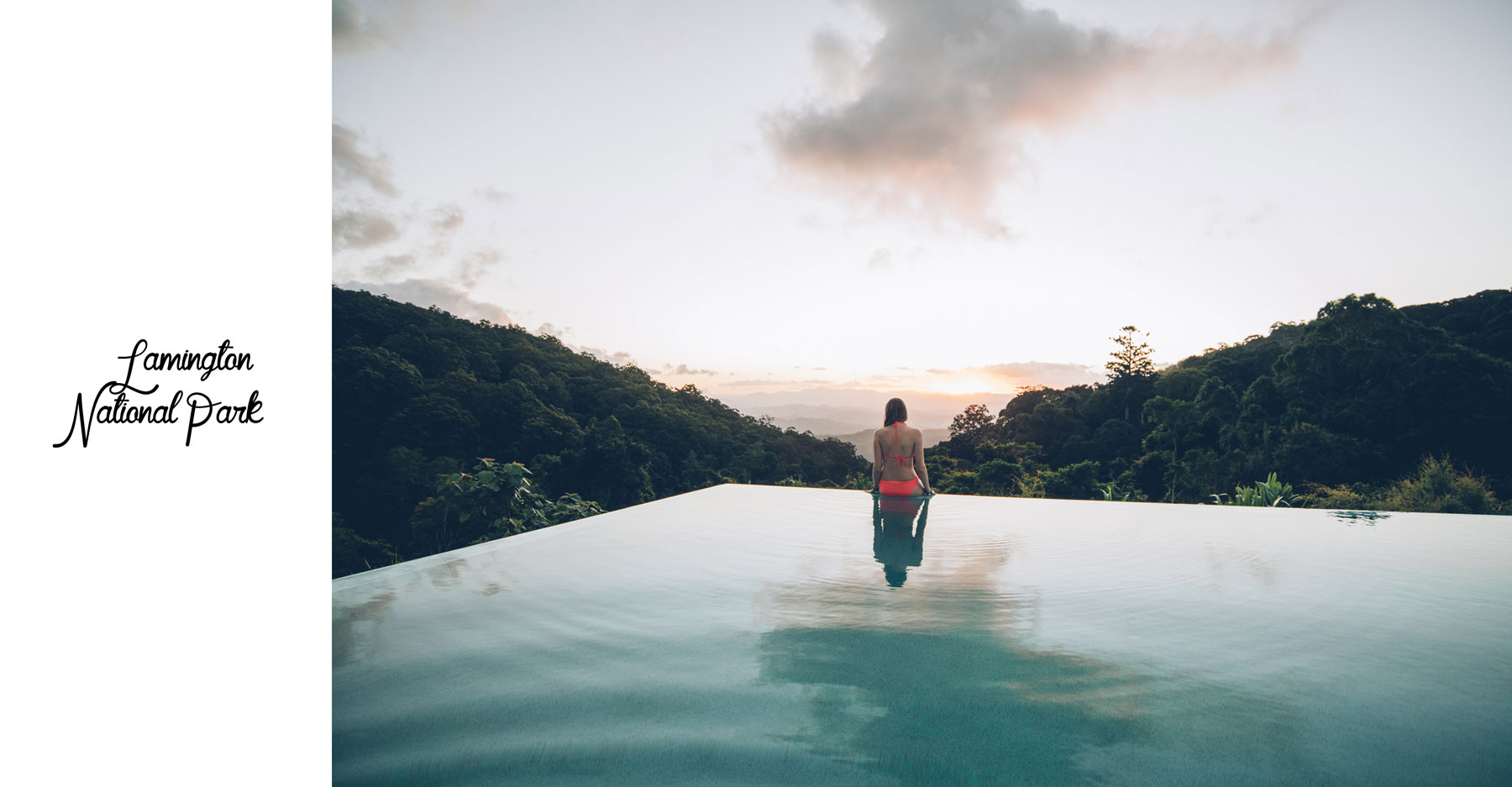 Lamington National Park, O'Reillys