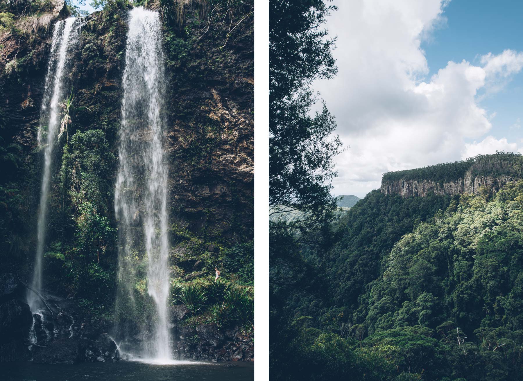 Springbrook NP, Australie