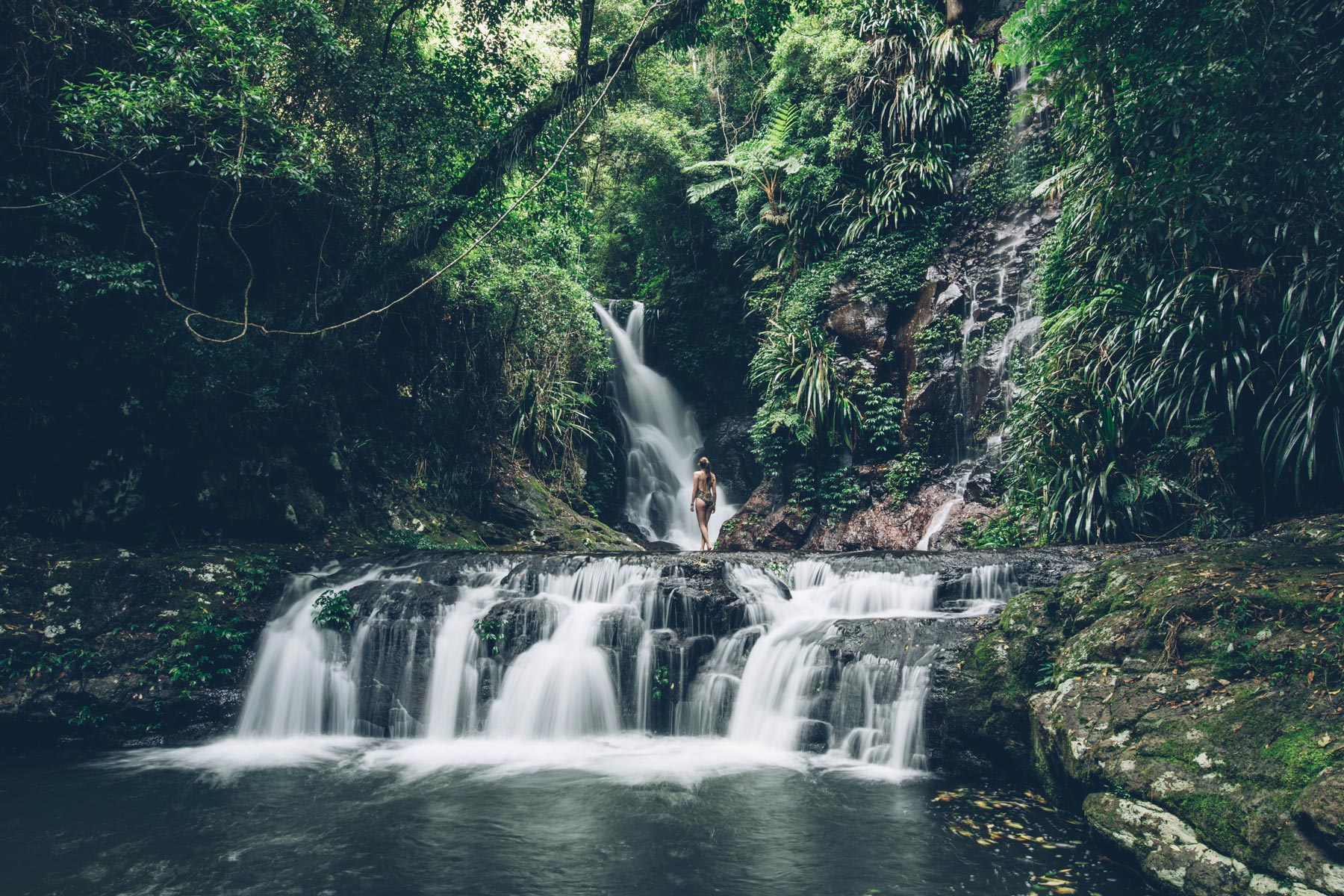 Elabana Falls, Queensland, Lamington National Park