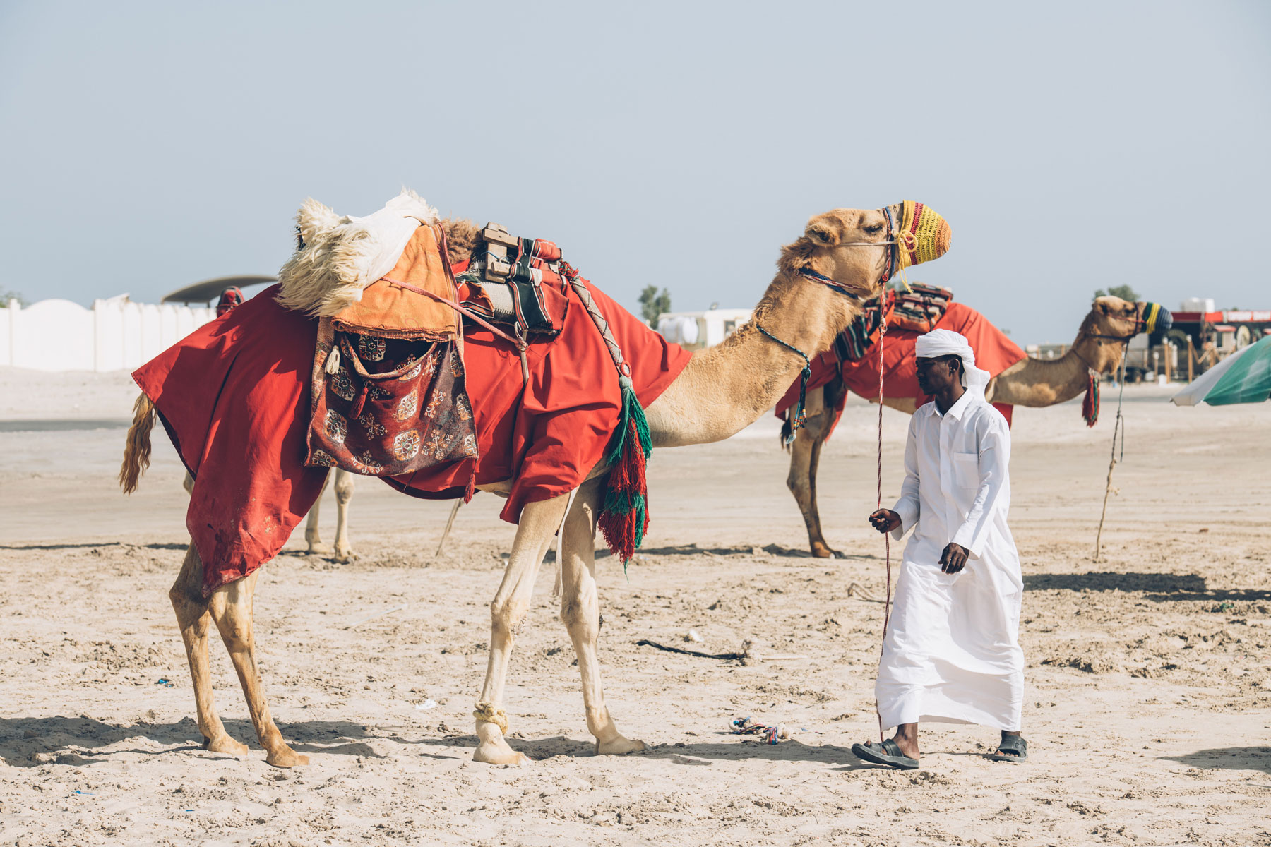 Avant la Coupe du monde de football, le Qatar teste son système de transport des supporteurs 13-Qatar-desert