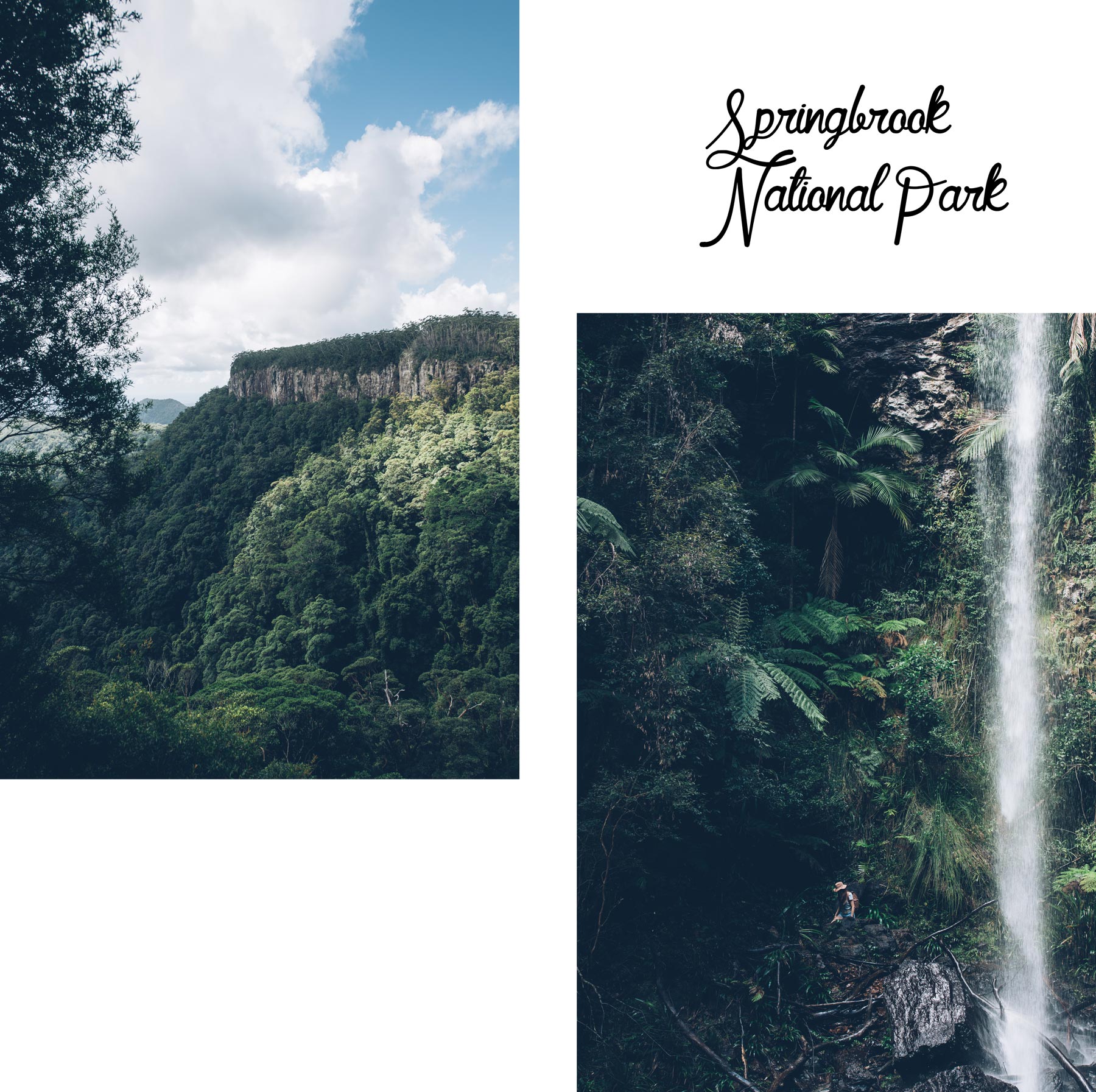 Springbrook National Park