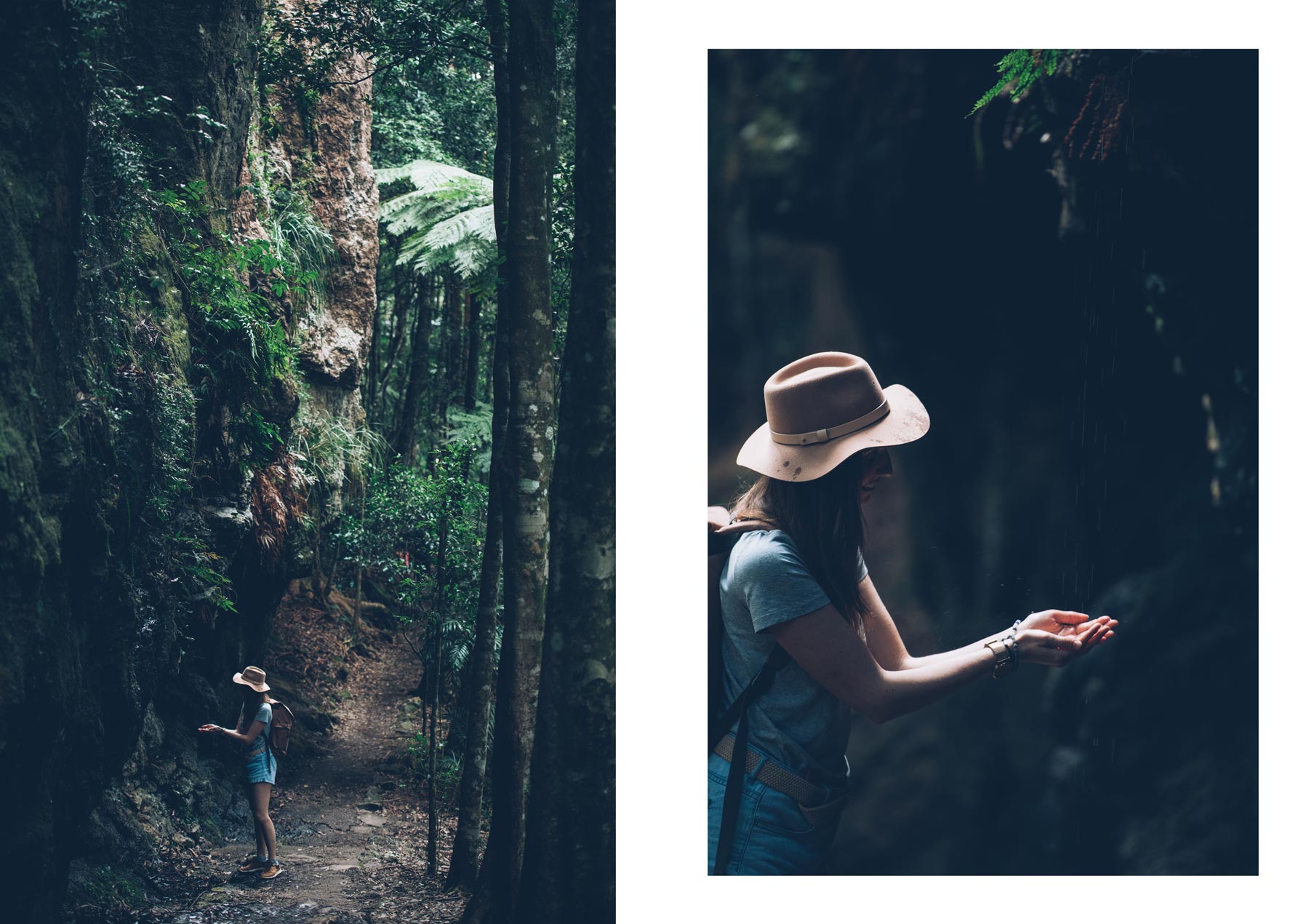 Springbrook National Park