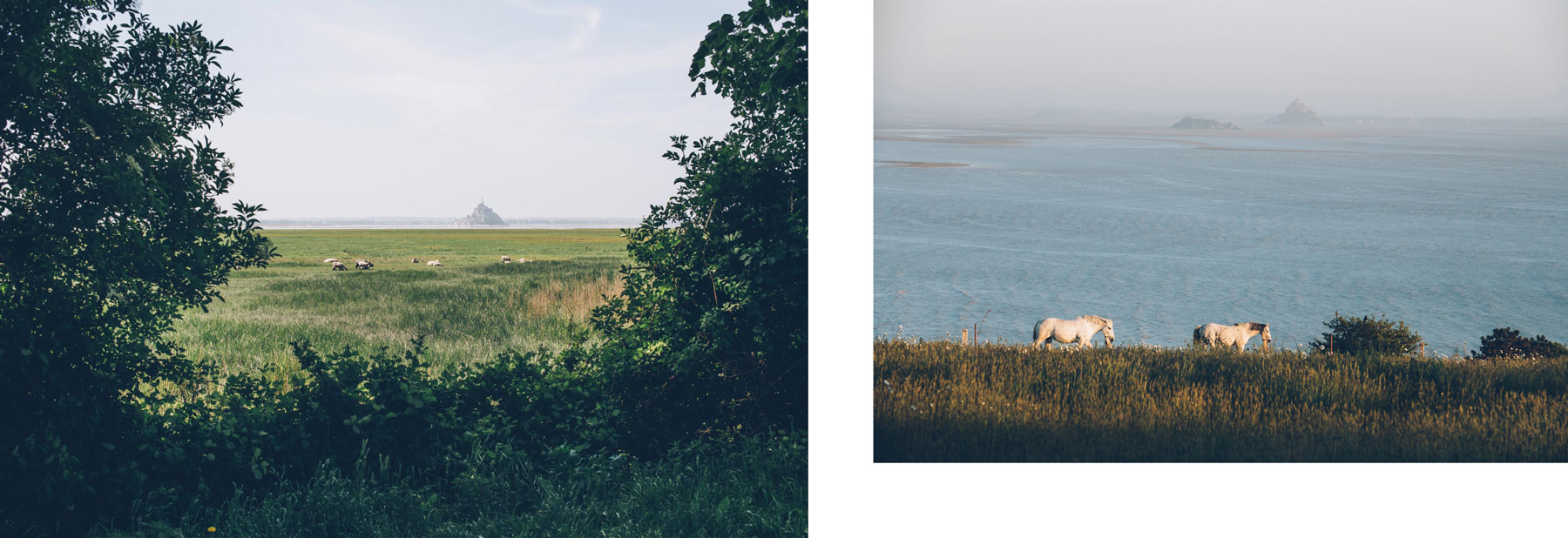 Vue sur le Mont St Michel