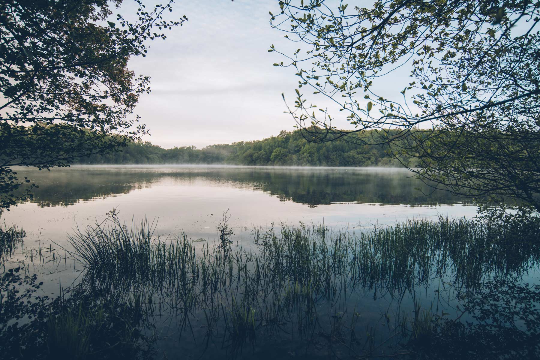 Parc Naturel du Perche, Eure et Loir