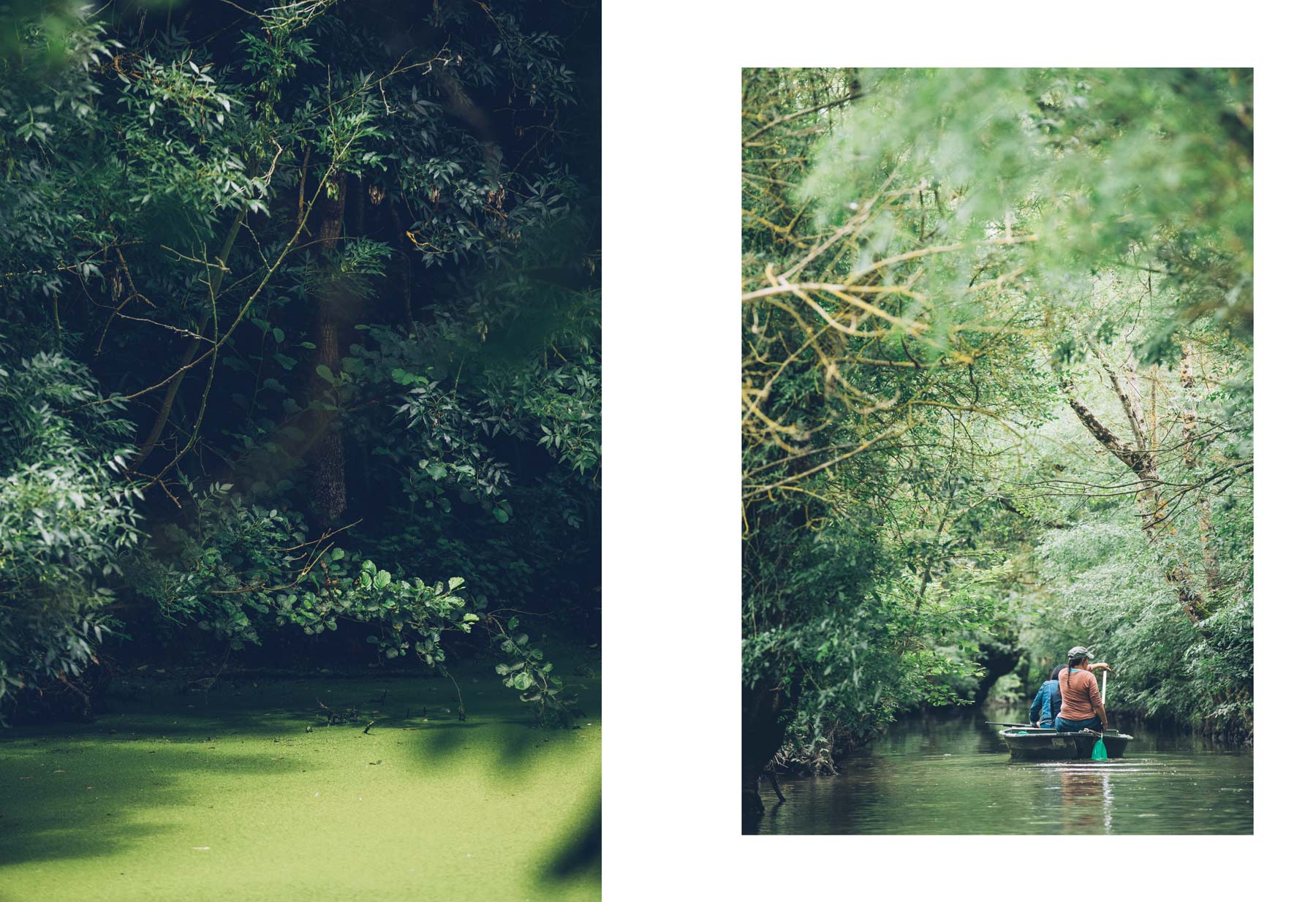 Barque Marais Poitevin, Charente Maritime