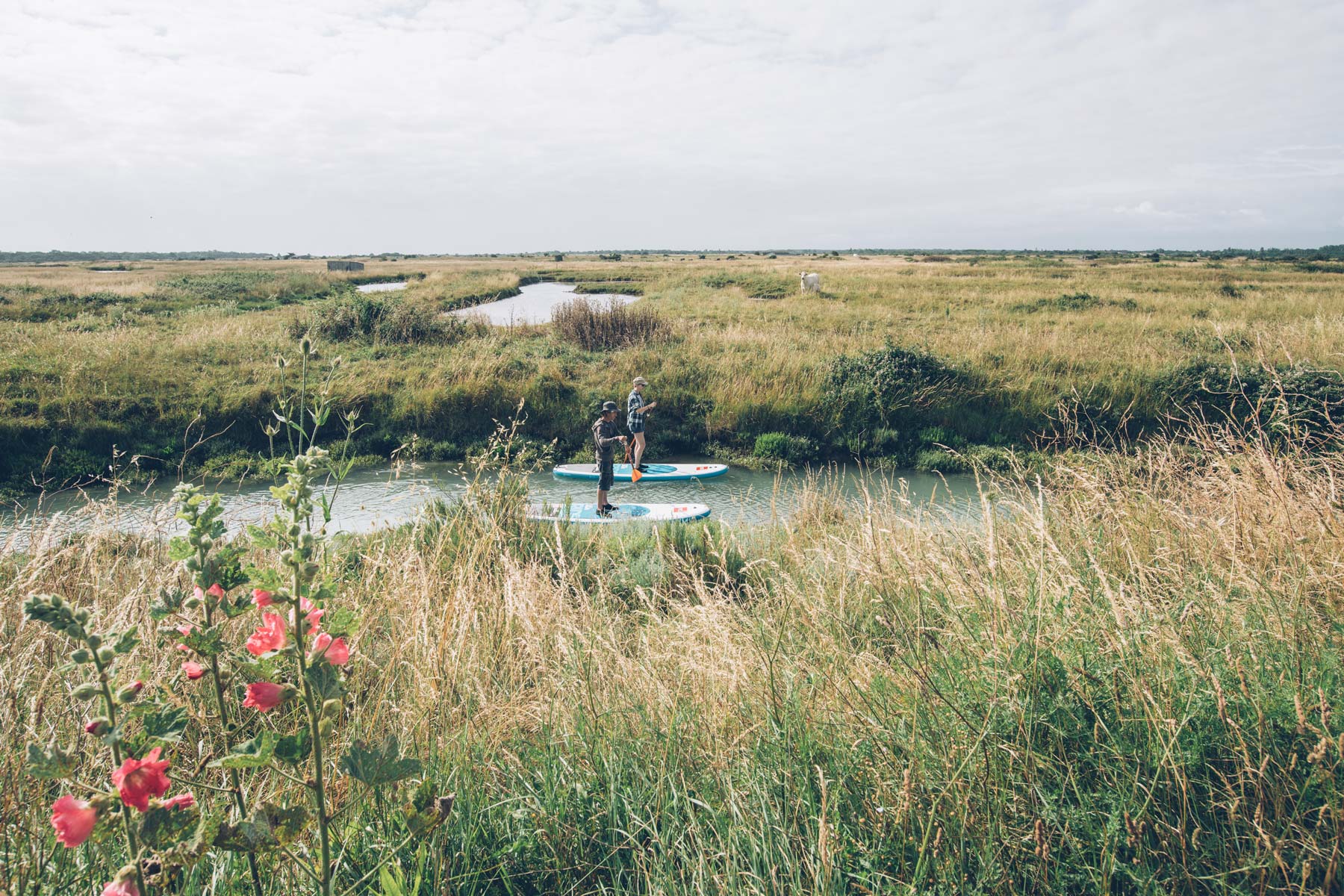 Paddle, Marais d'Oléron