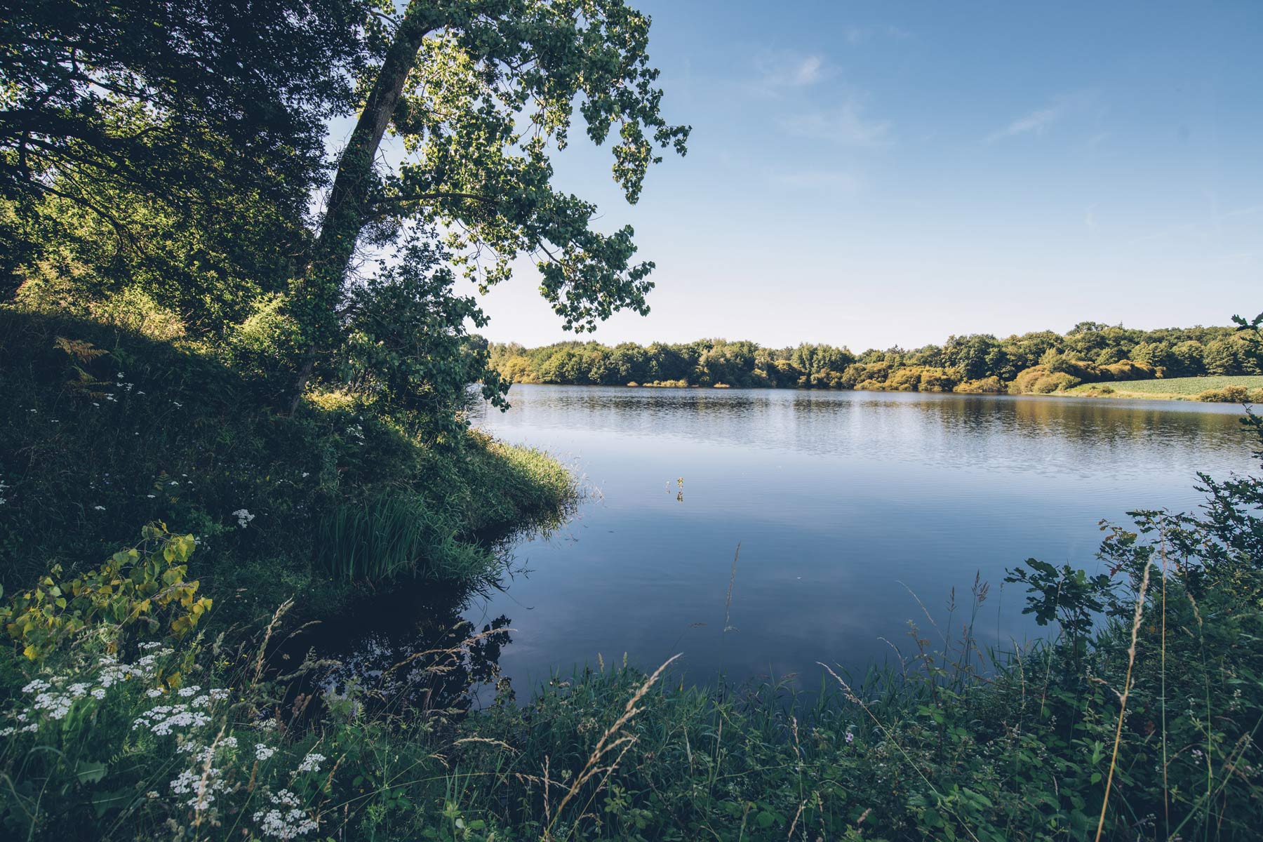 Les Lacs de Haute Charente