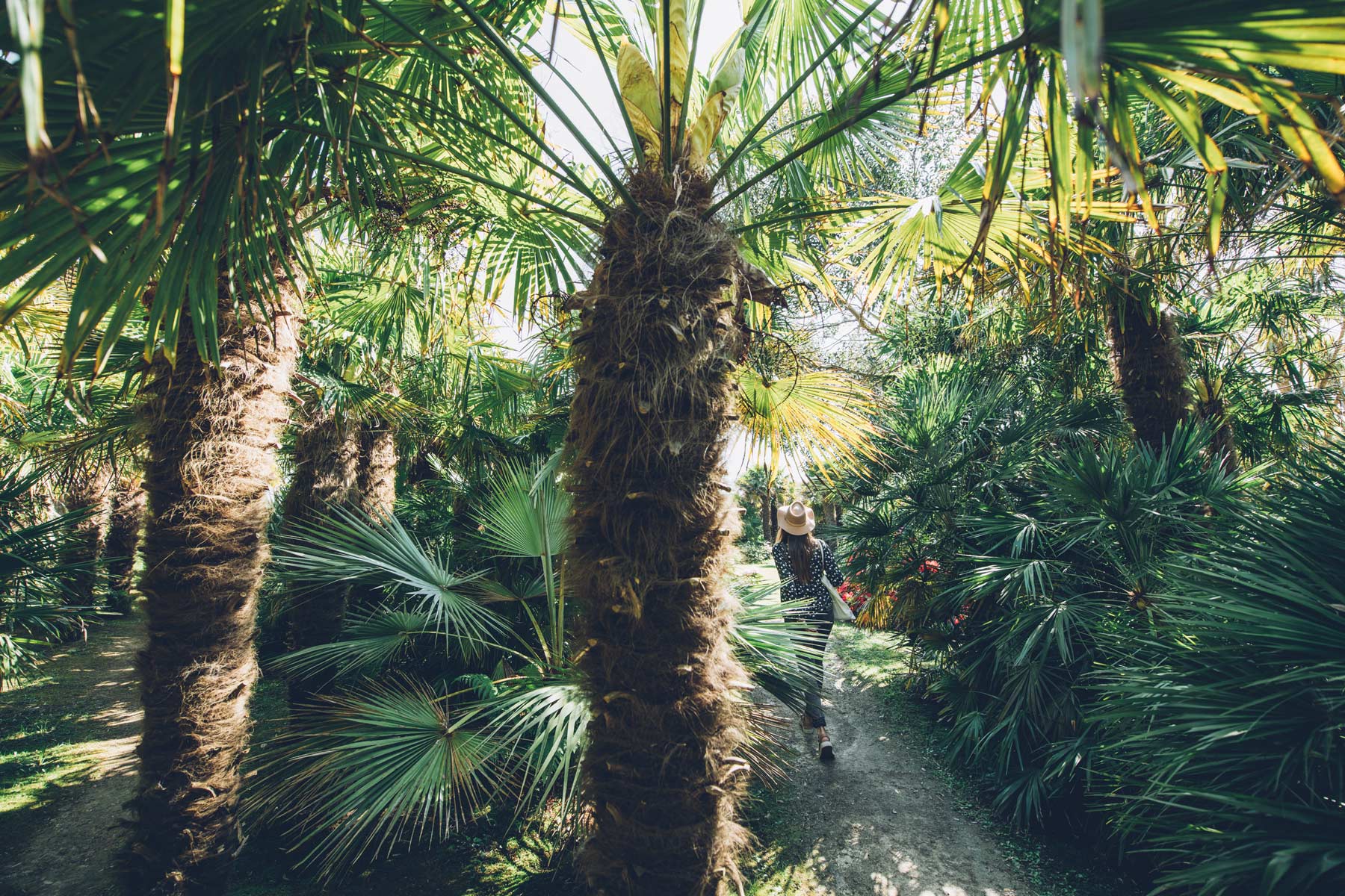 Jardin Vauville, La Manche