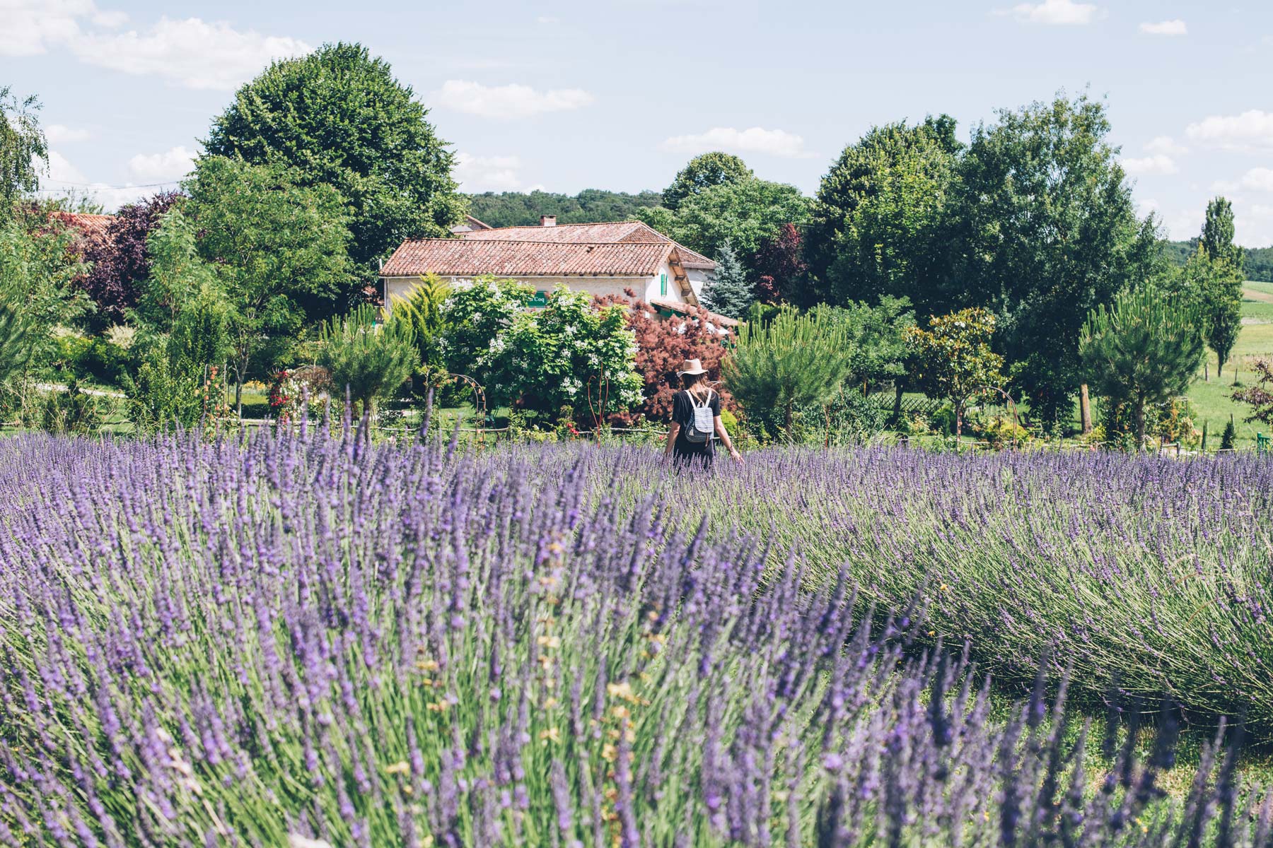 Les Jardins du Coq, Montignac le Coq