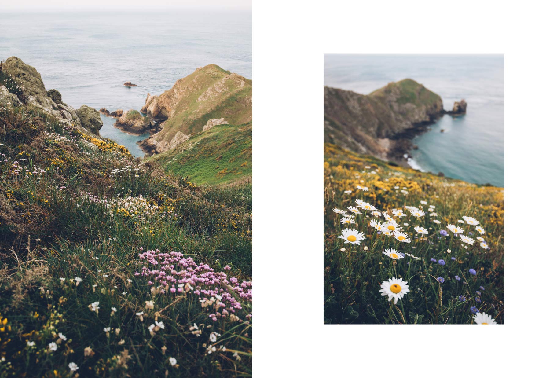 Nez de jobourg, Normandie