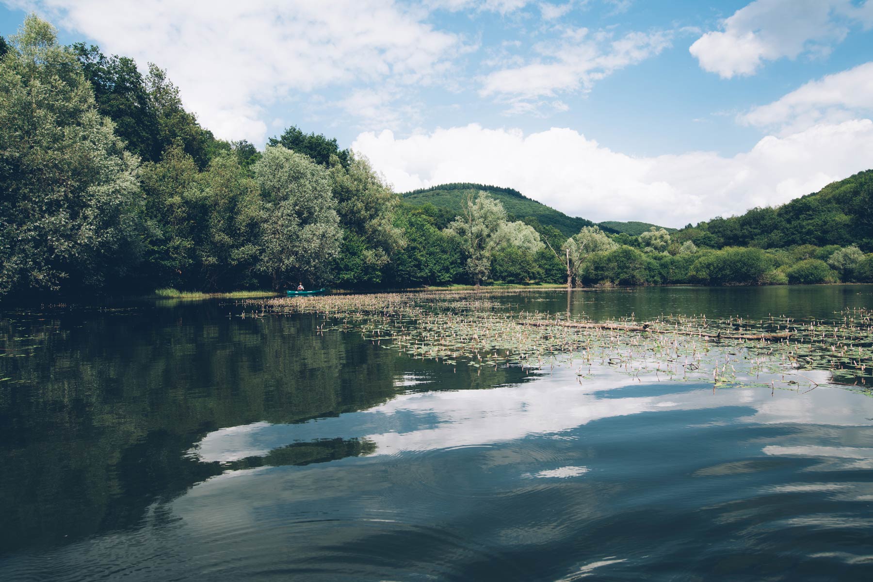 Parc Naturel régional du Morvan