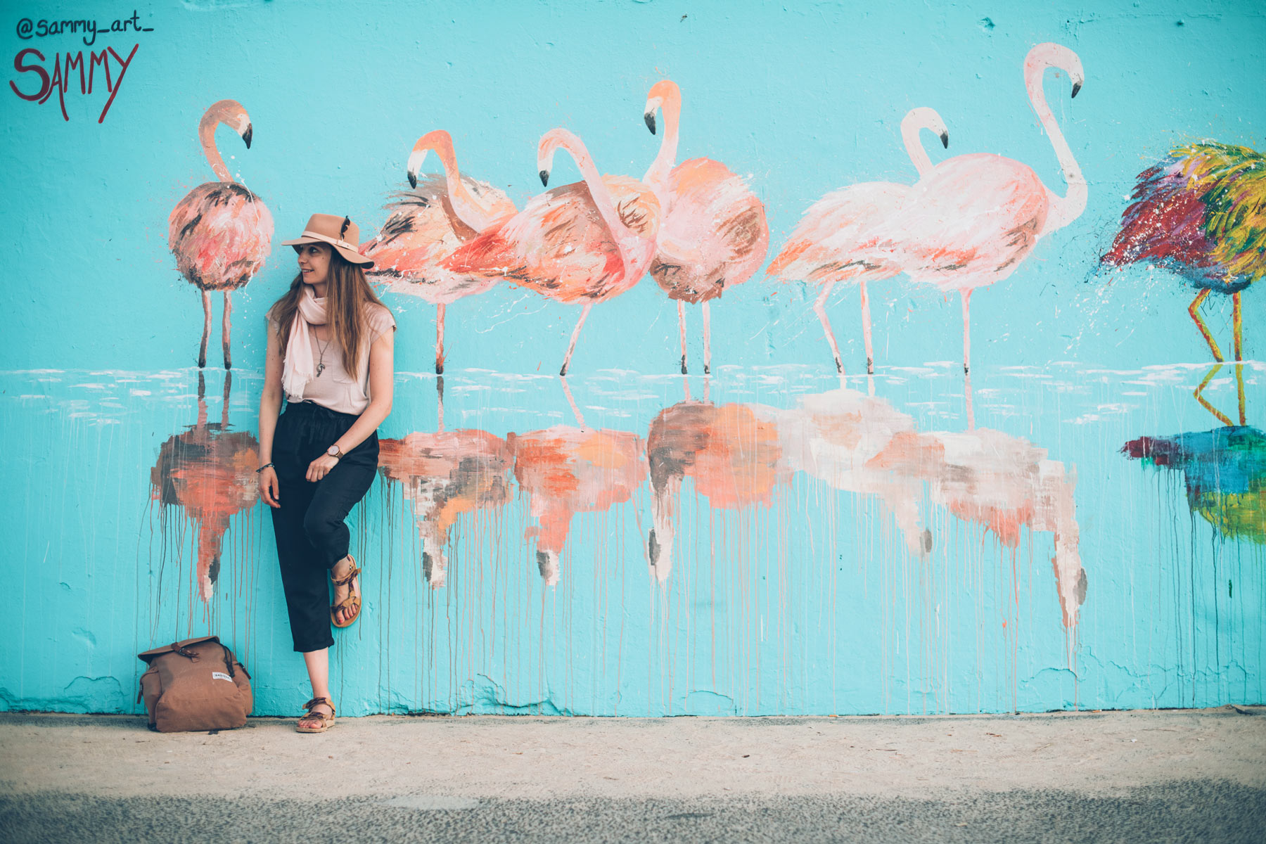 Grafitti Bondi beach, Flamands Roses