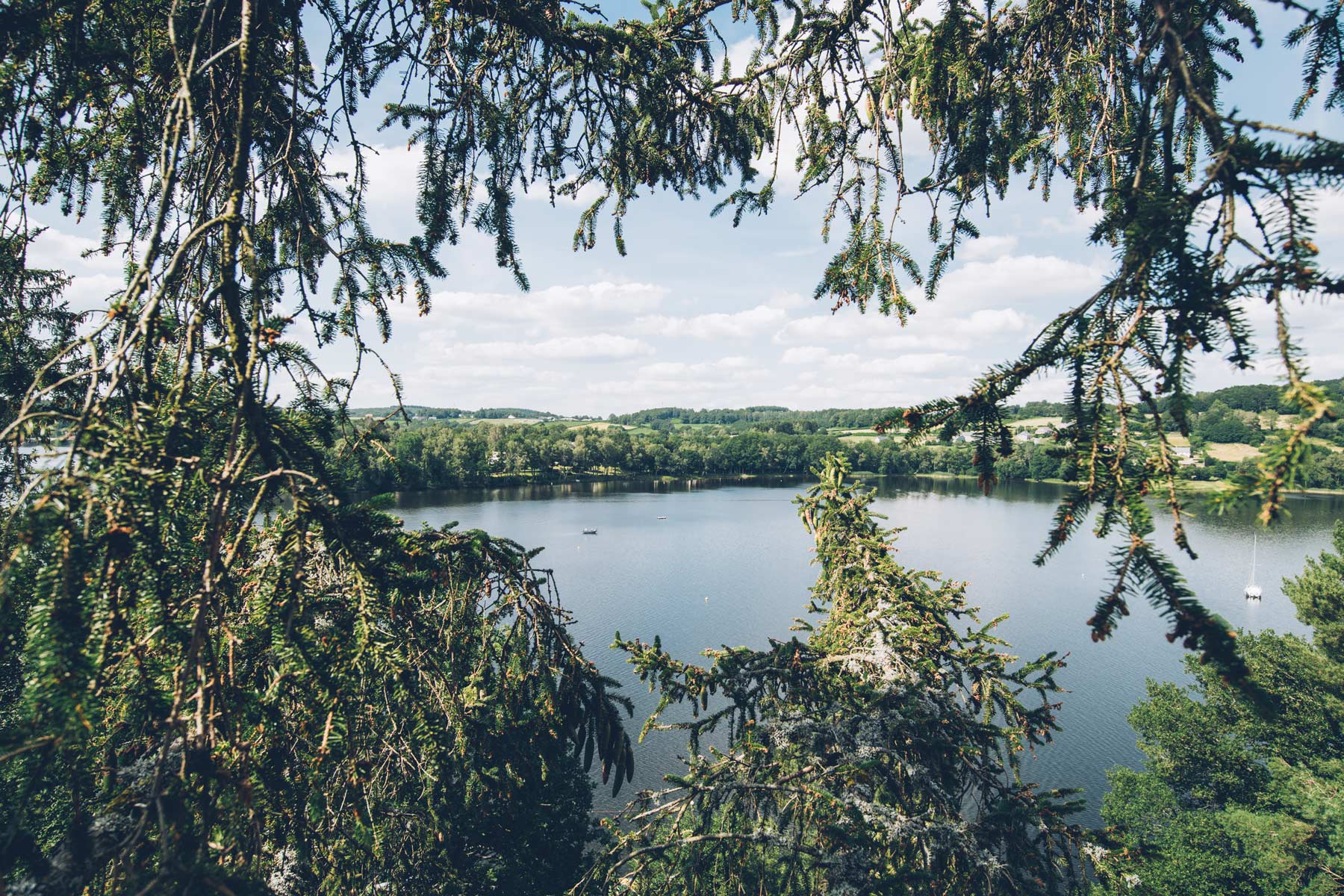 Grimper dans les Arbres dans le Morvan