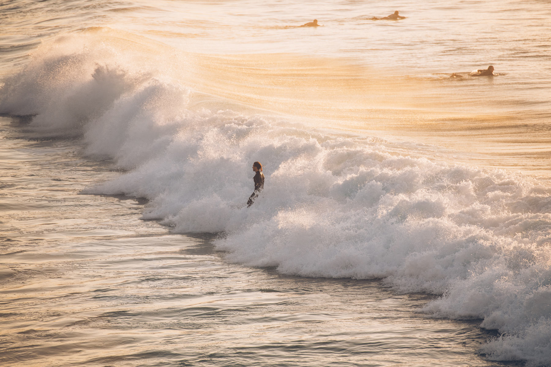 Surfeur Australien, Sydney