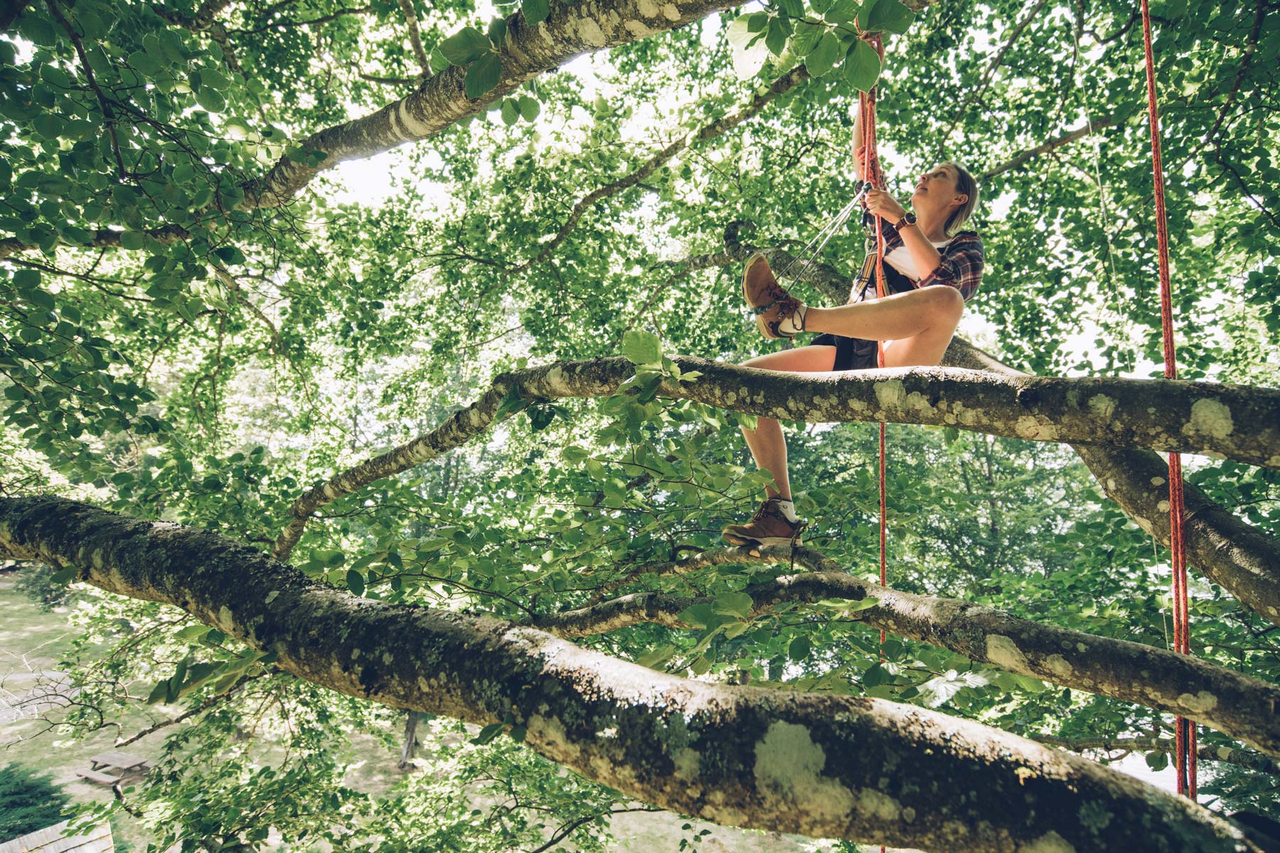 Escalader les Arbres du Morvan