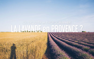 NOS PLUS BEAUX ENDROITS POUR PHOTOGRAPHIER LA LAVANDE EN PROVENCE