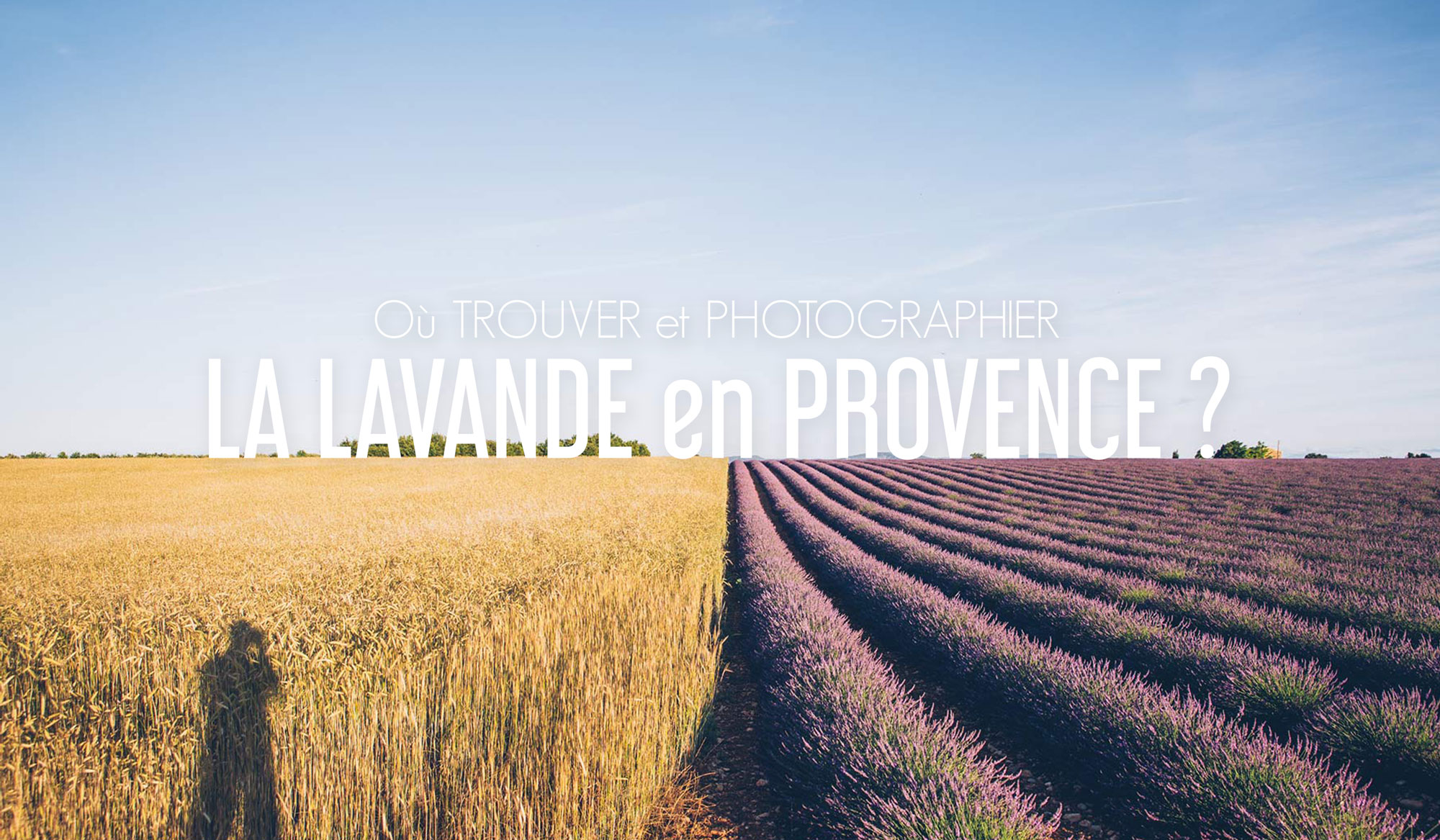 3 endroits où trouver et photographier la Lavande en Provence