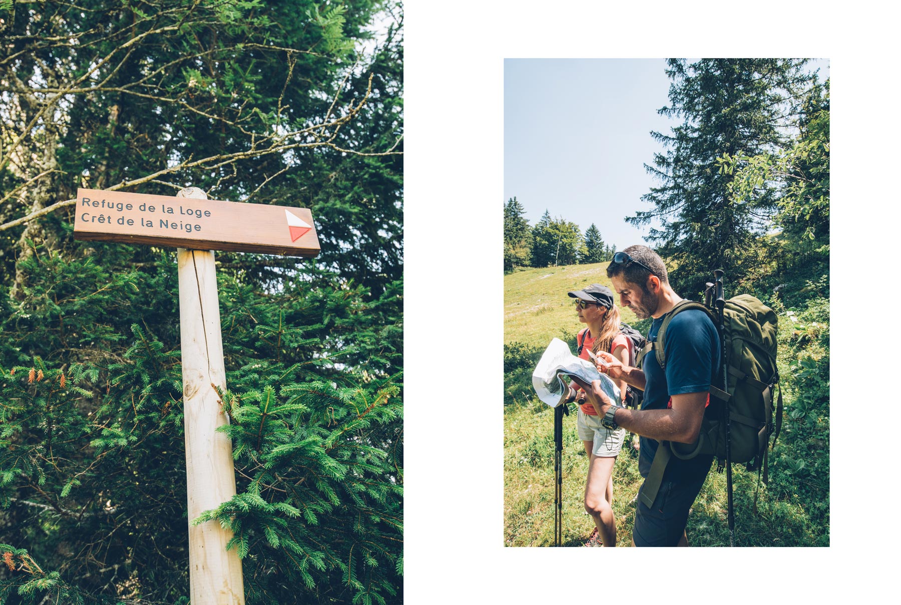 Guide Naturaliste Montagne du Jura