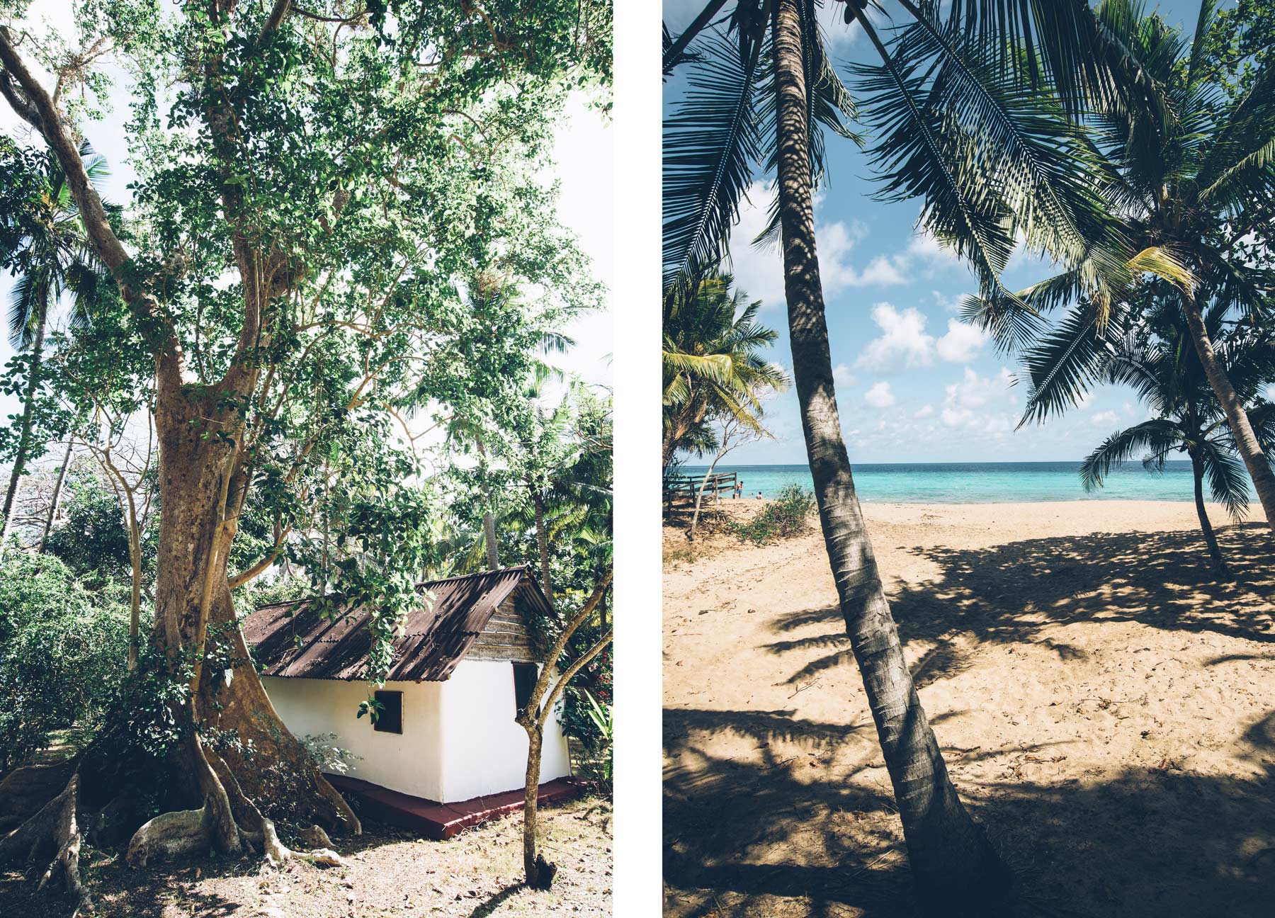 Jardin Maore, Mayotte