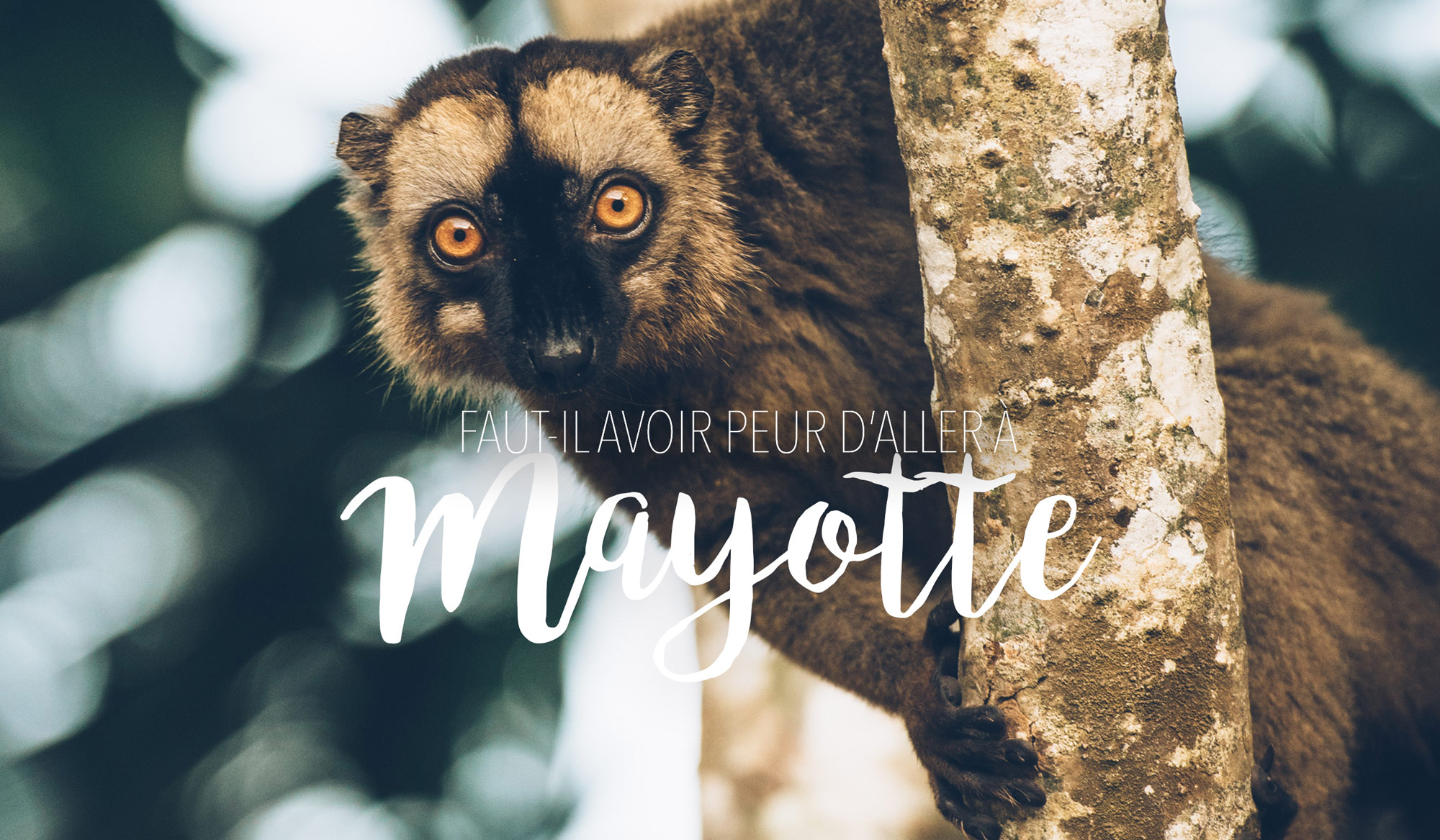 Ce qu'il faut savoir sur Mayotte, le 101e département français – L