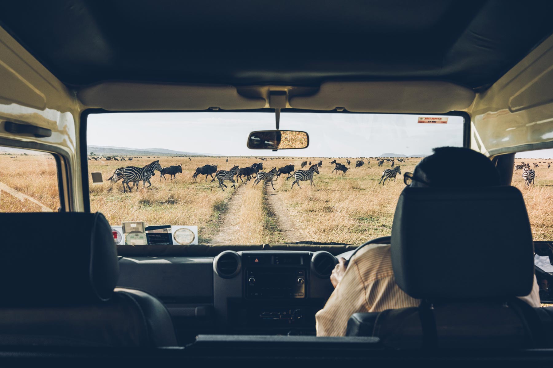 Migration Masai Mara, Kenya